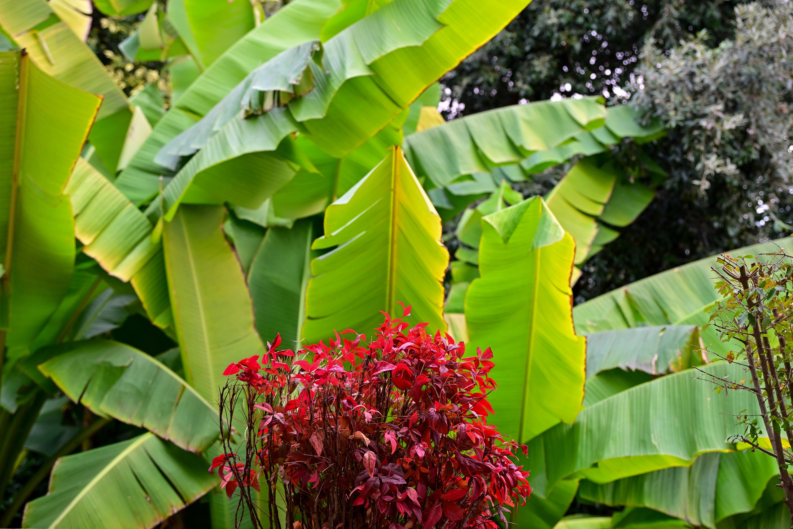 Lago d'iseo and hotel. Фотограф Минск