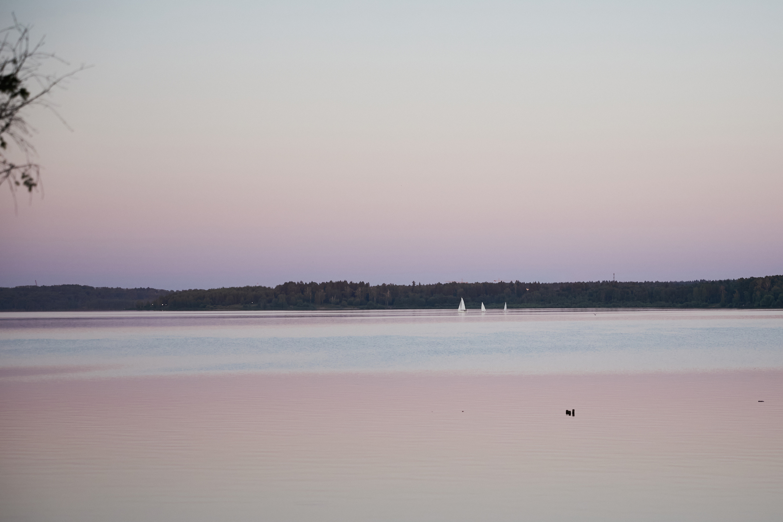 Leon & Tanya | Russia, Moscow region. Свадебный фотограф