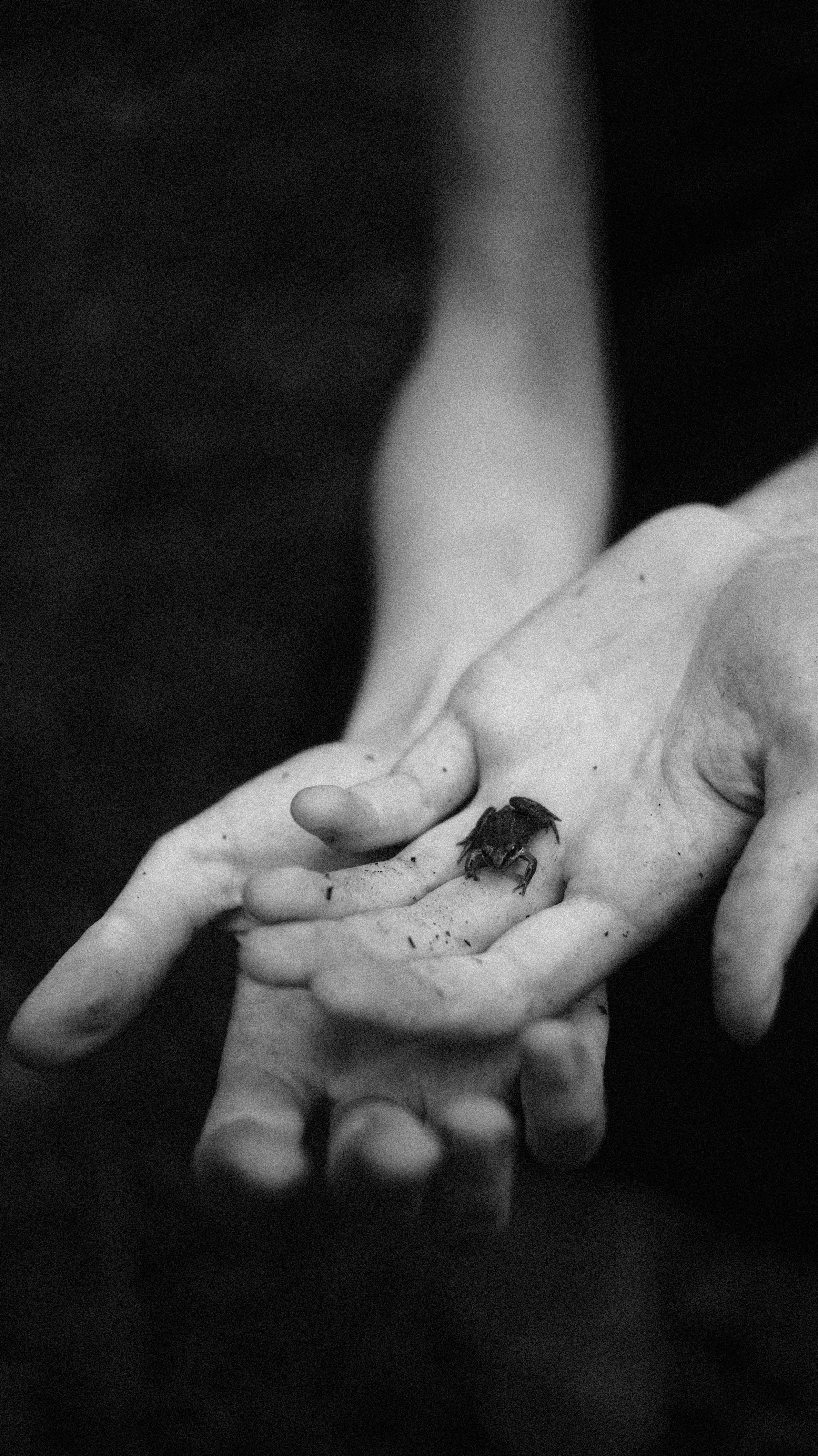 Портреты. Фотограф Анна Кирнос