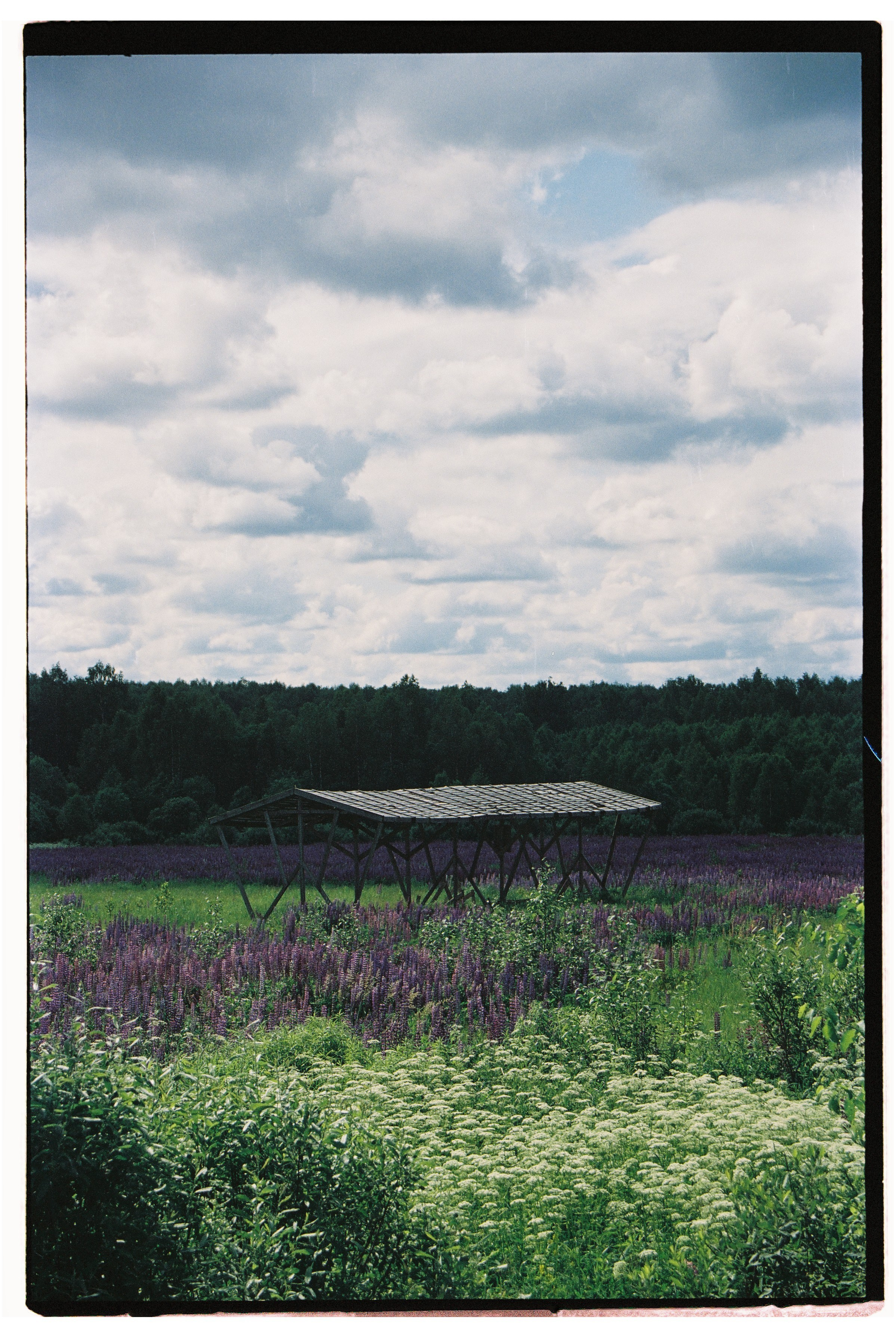 Стрит. Фотограф Соня с Земли