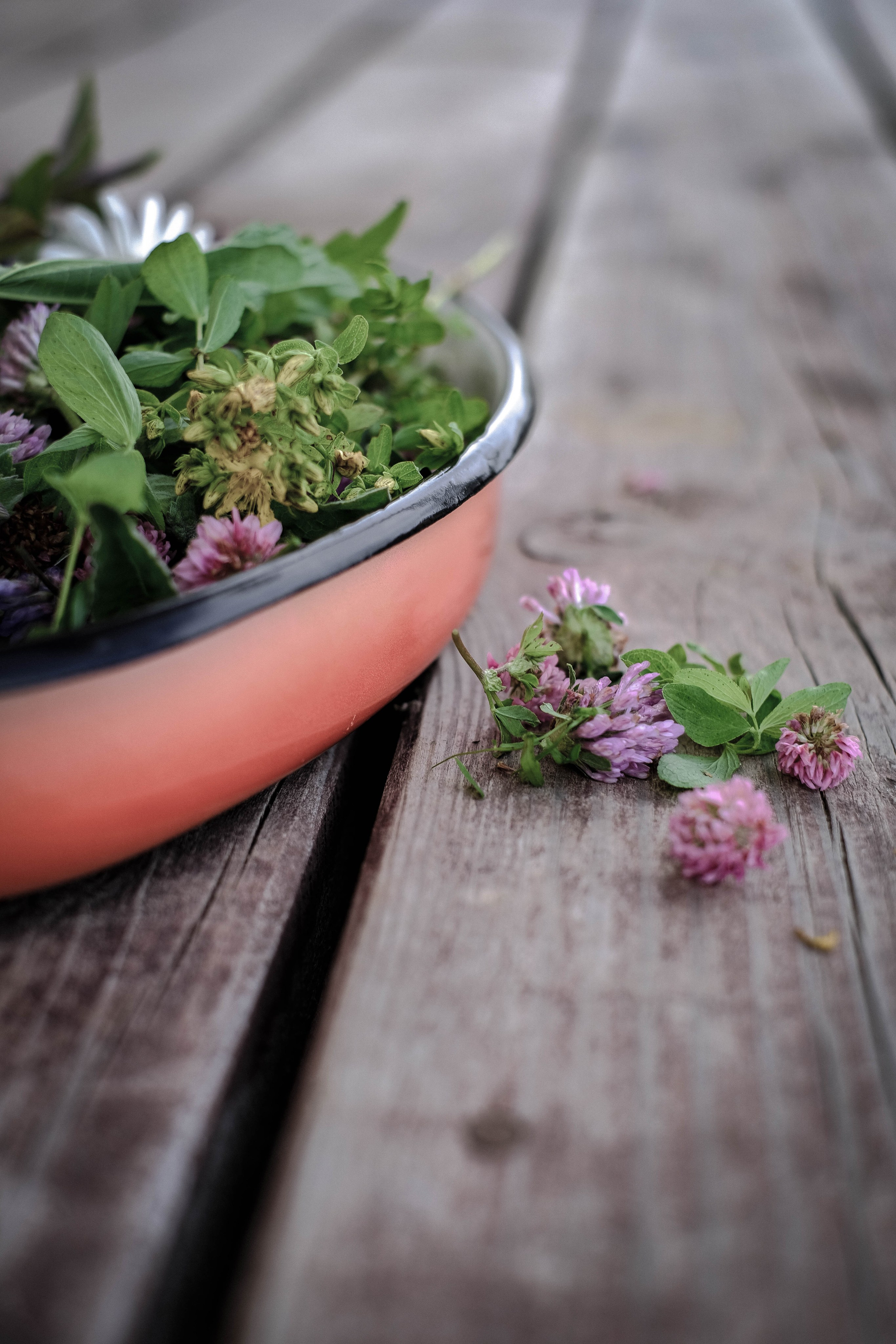 Курс «Психология на грядке». АRТ&PSY | Искусство психологии