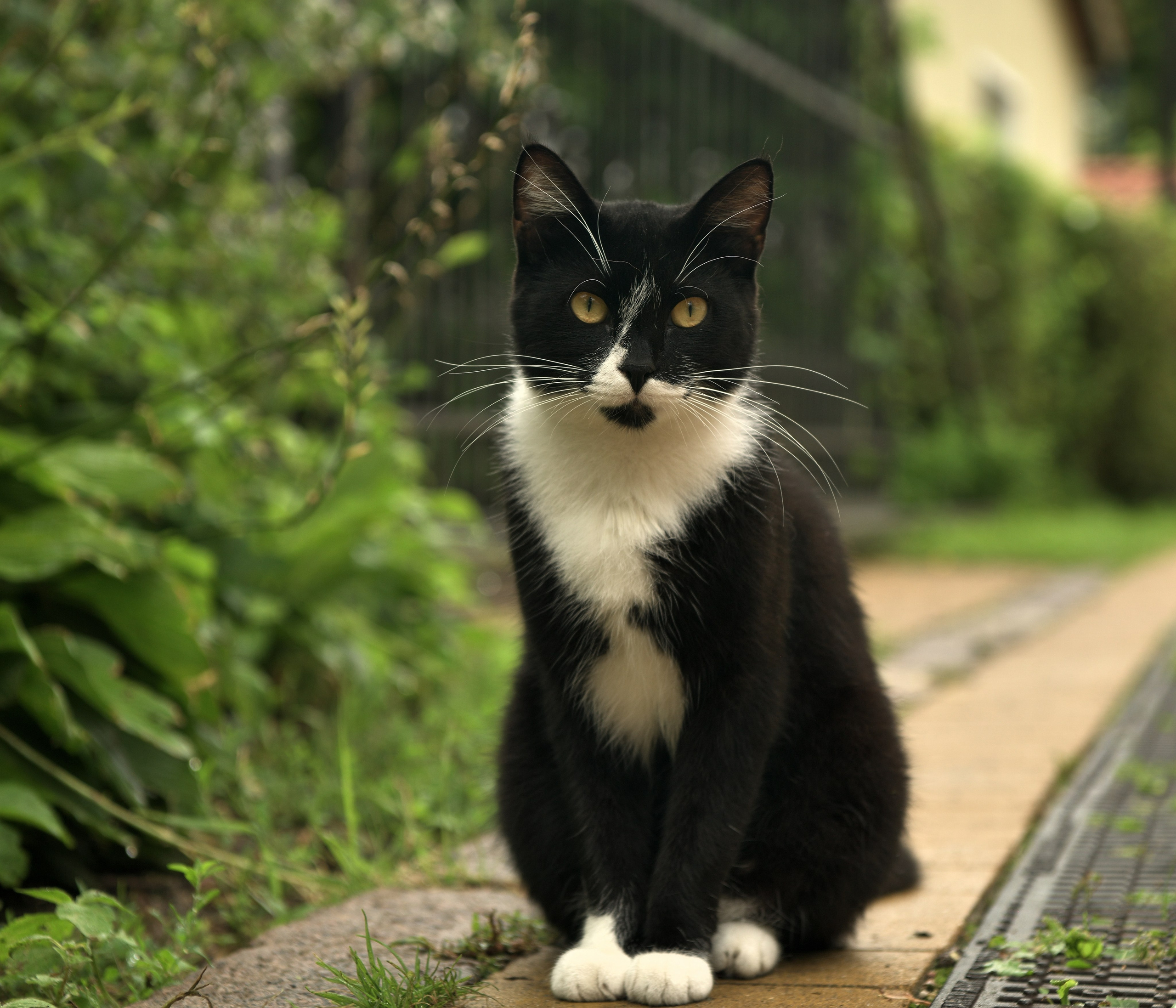 Калининград. Сергей Люльченко фотоальбом