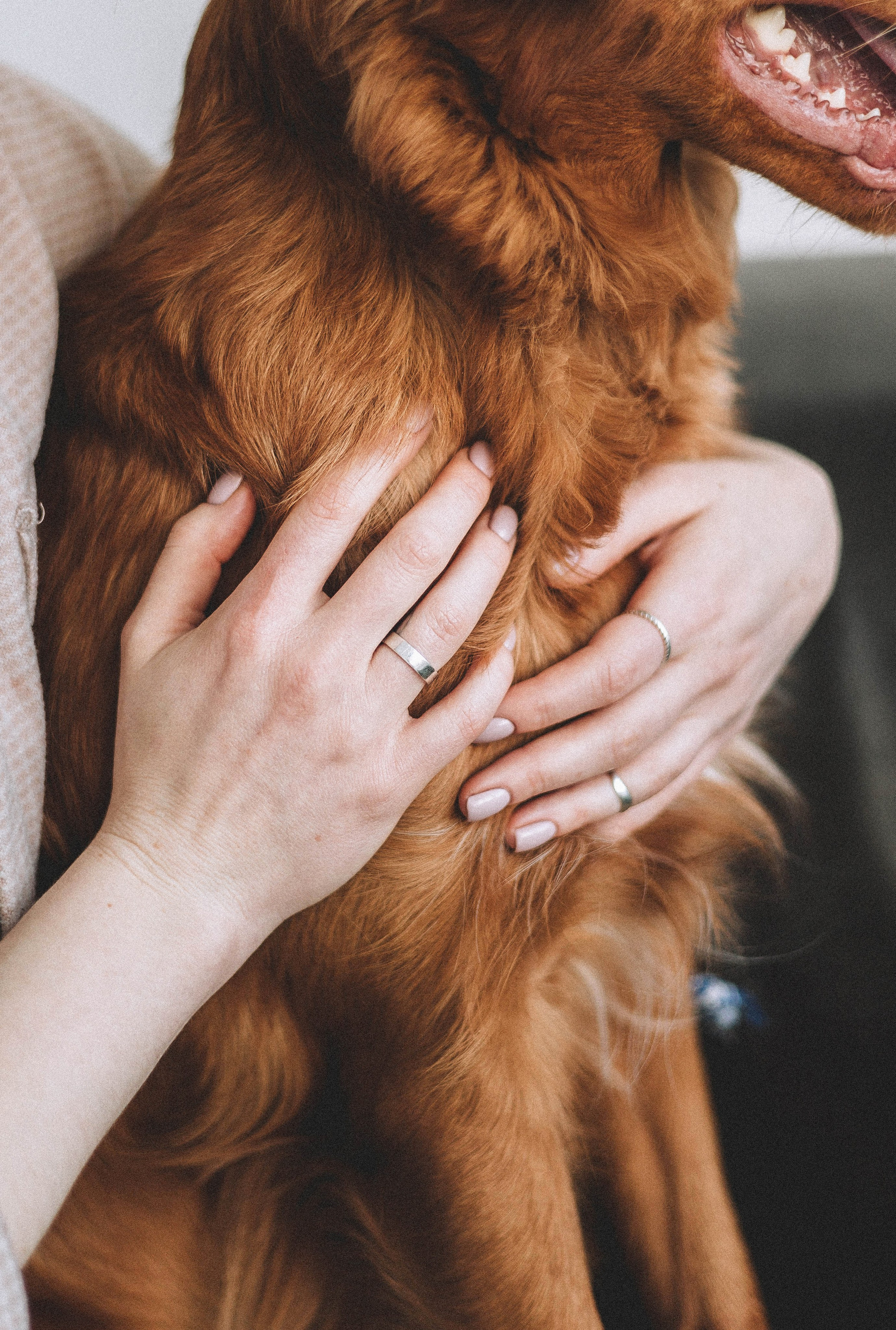 Аня и Лея. Фотограф-анималист Богданова Полина