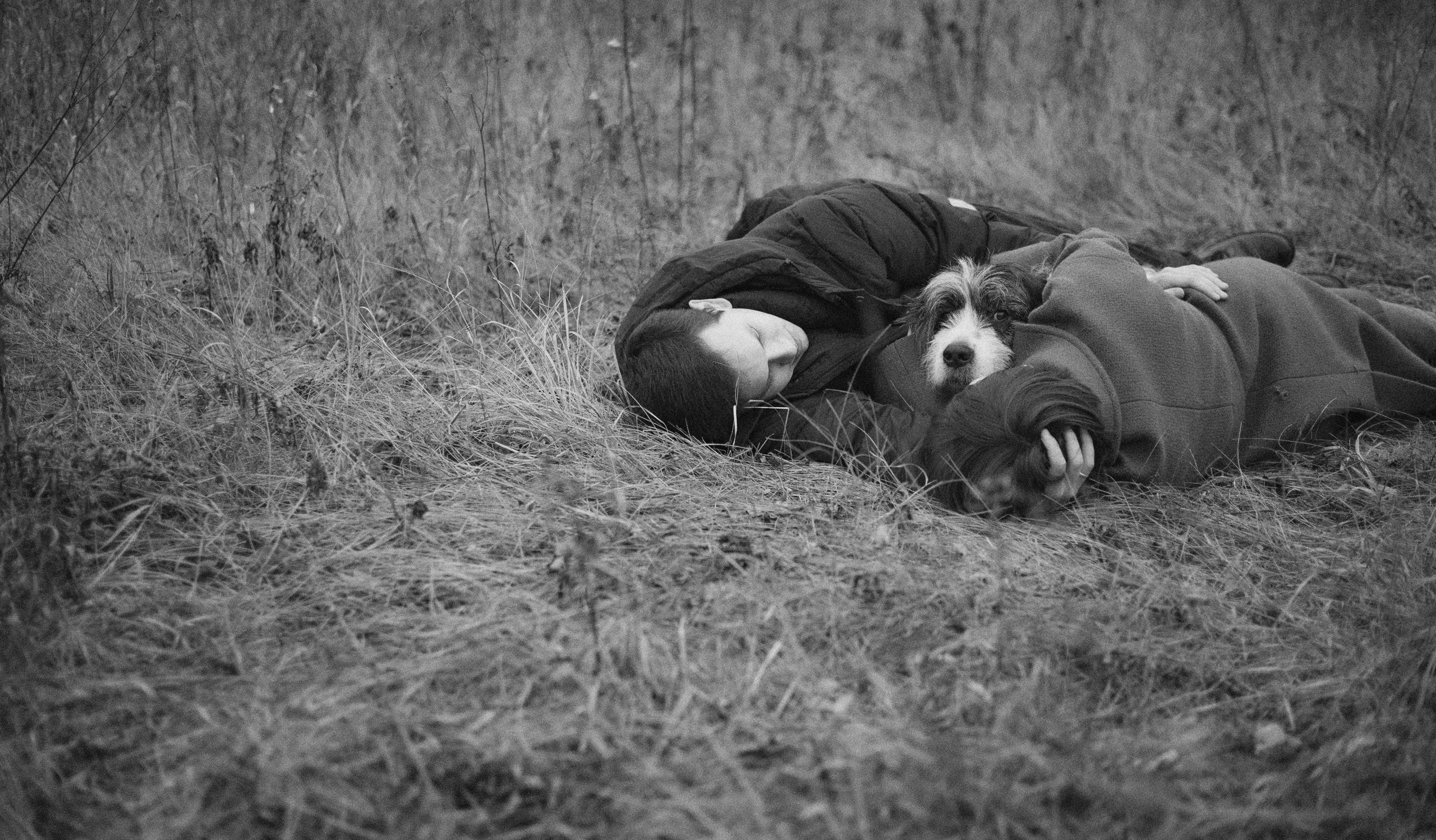 Даша, Глеб, Барс и Бруно. Фотограф-анималист Богданова Полина