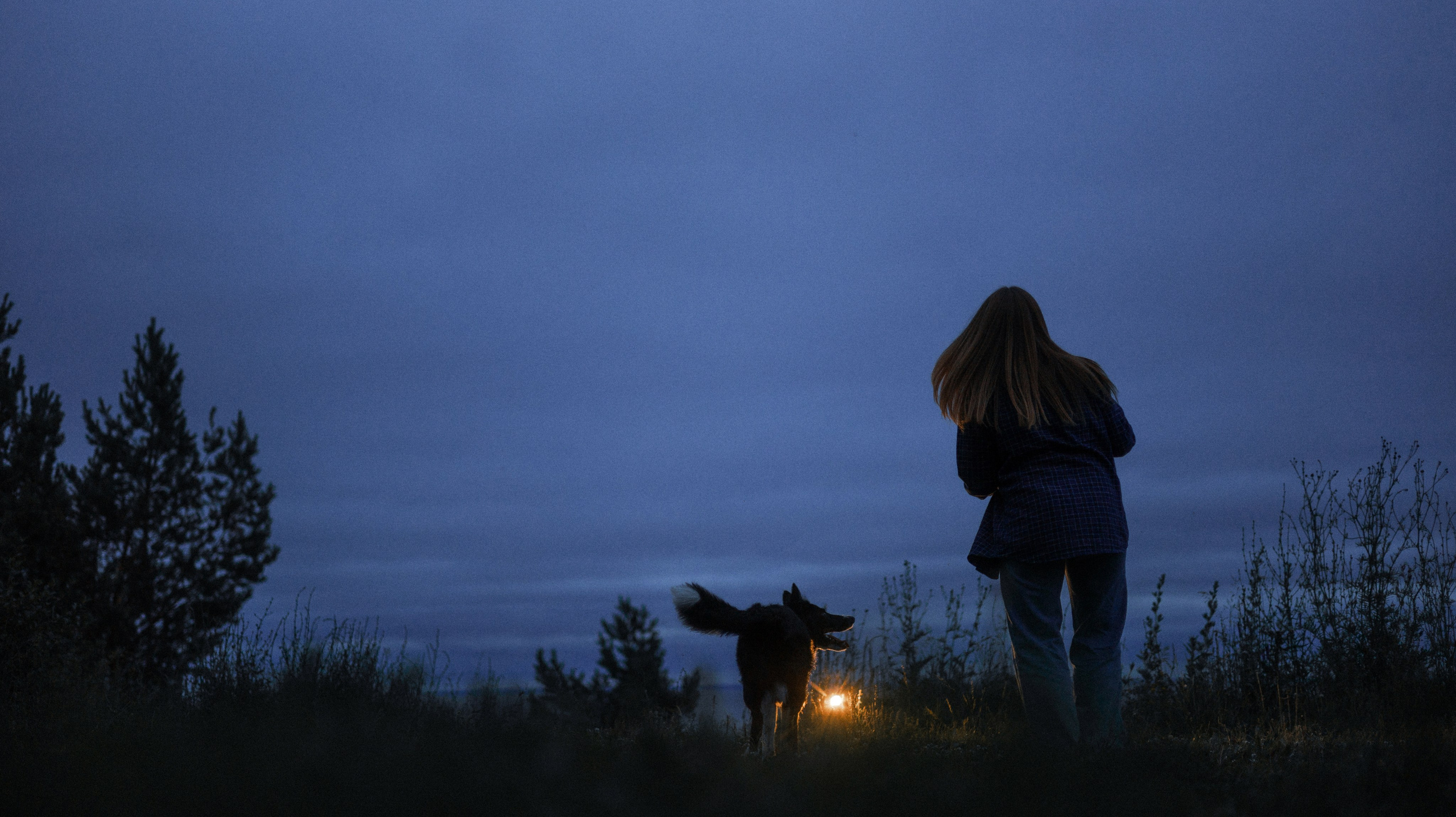Аделя, Вандер, Шайна и Бая. Фотограф-анималист Богданова Полина