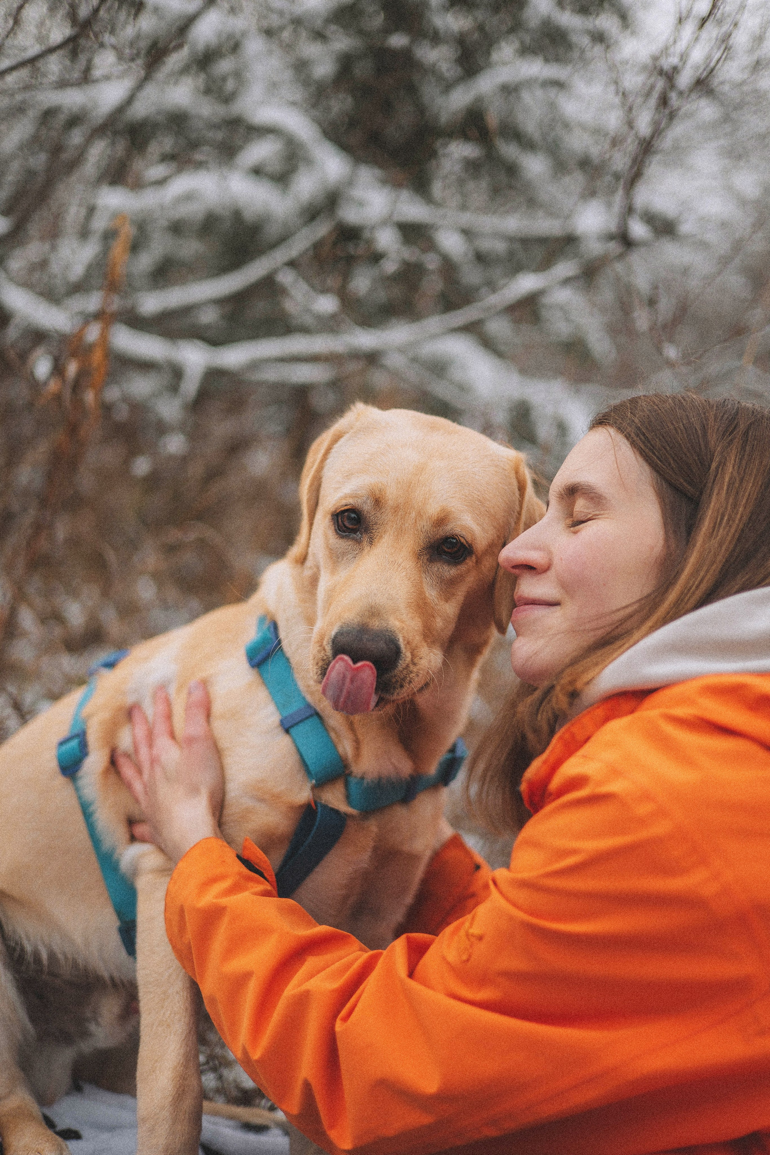Маргарита и Варди. Фотограф-анималист Богданова Полина