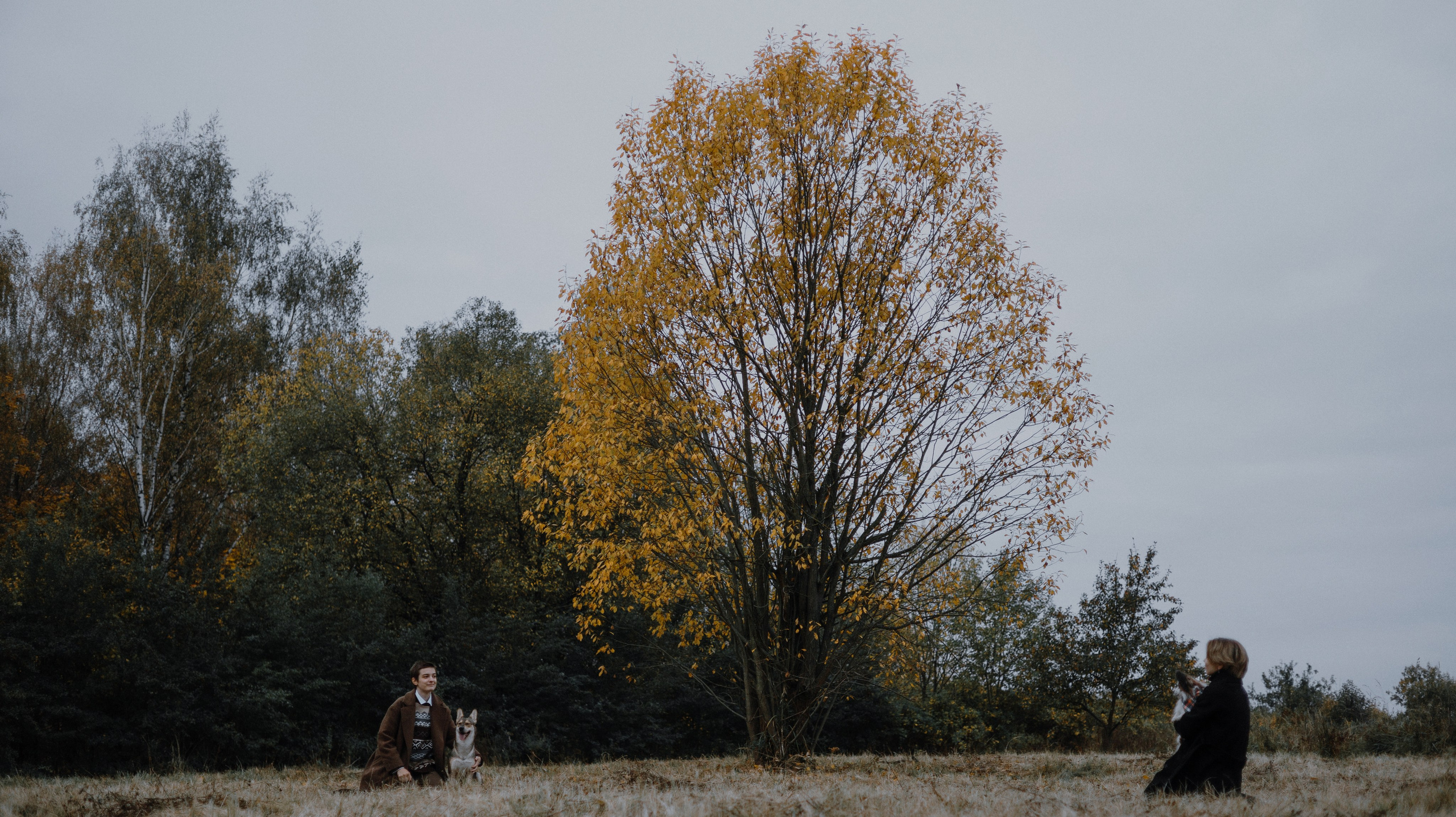 Маша, Катя, Астрид и Мася. Фотограф-анималист Богданова Полина