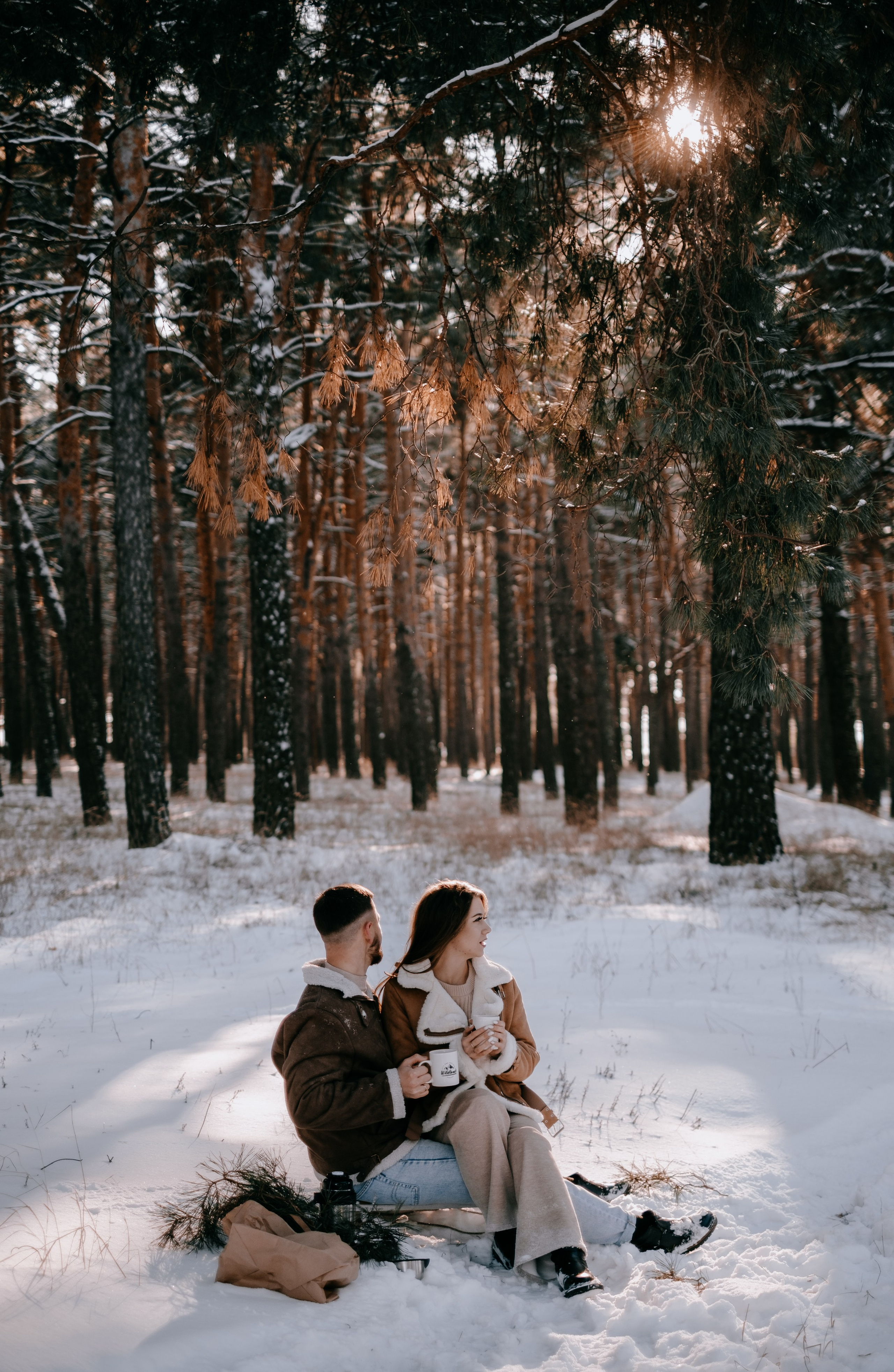 Звенит январская вьюга!. Photographer Victoria Slavnova