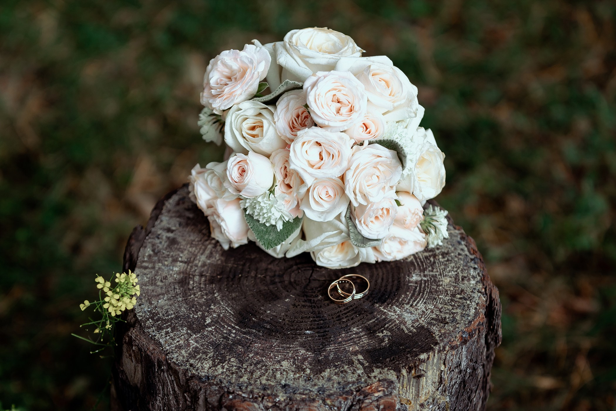 Руслан и Анна. Тимур Аминов | Фотограф в Кемерове