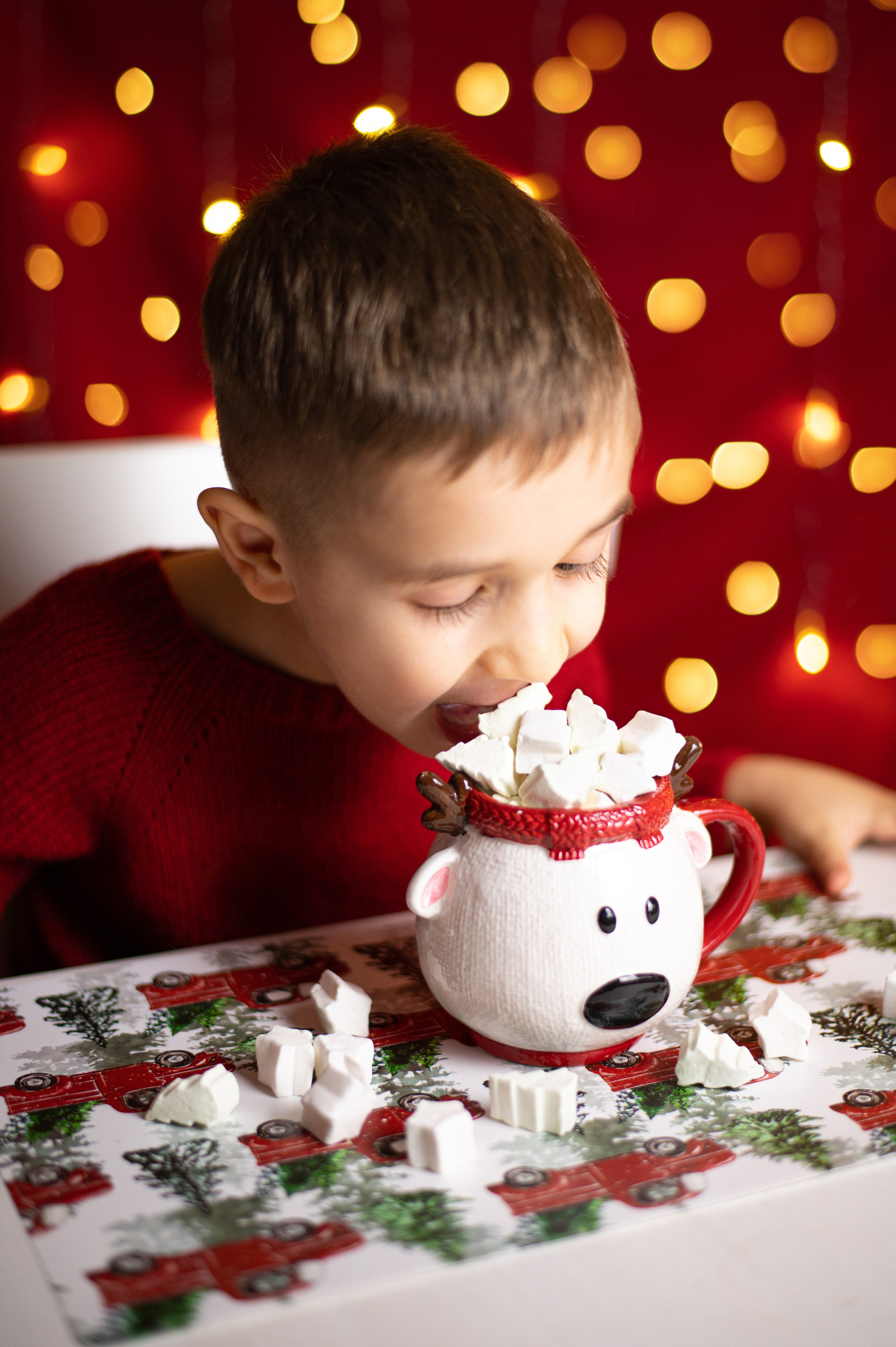 Какао с маршмеллоу. Фотограф Санкт-Петербург | Дарья Першина