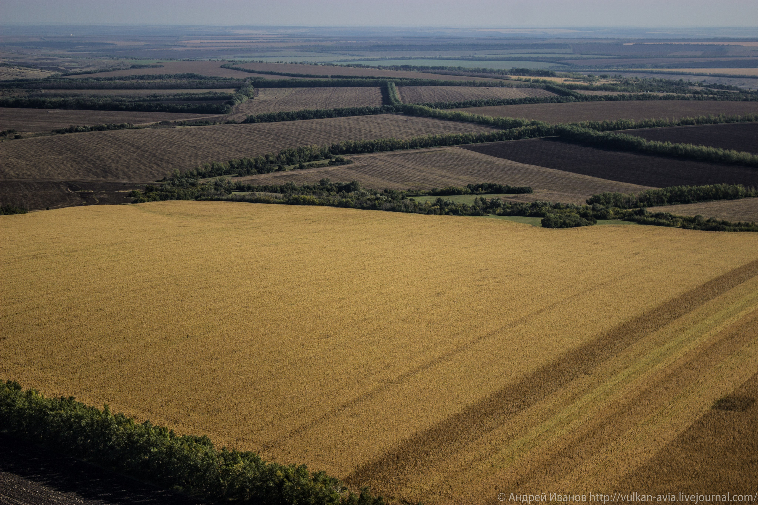 Волгодонск аэр. Потапов слёт «Небо для всех» (2021 г.). Фотоальбом показывающий увлекательный мир авиации и мир медведей Андрея Иванова