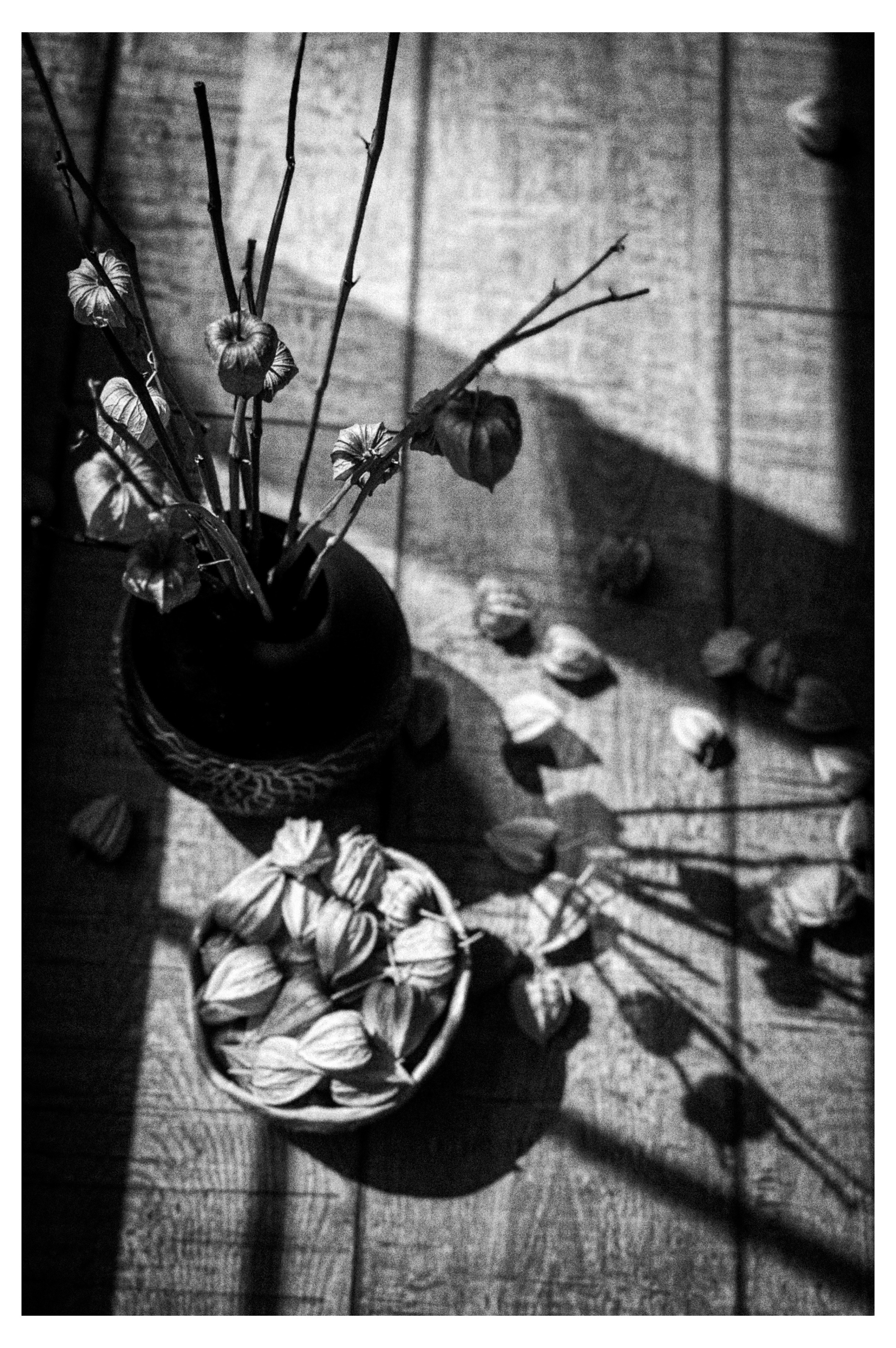 Мобильная фотография. Портретный фотограф Марина Щеглова в Москве