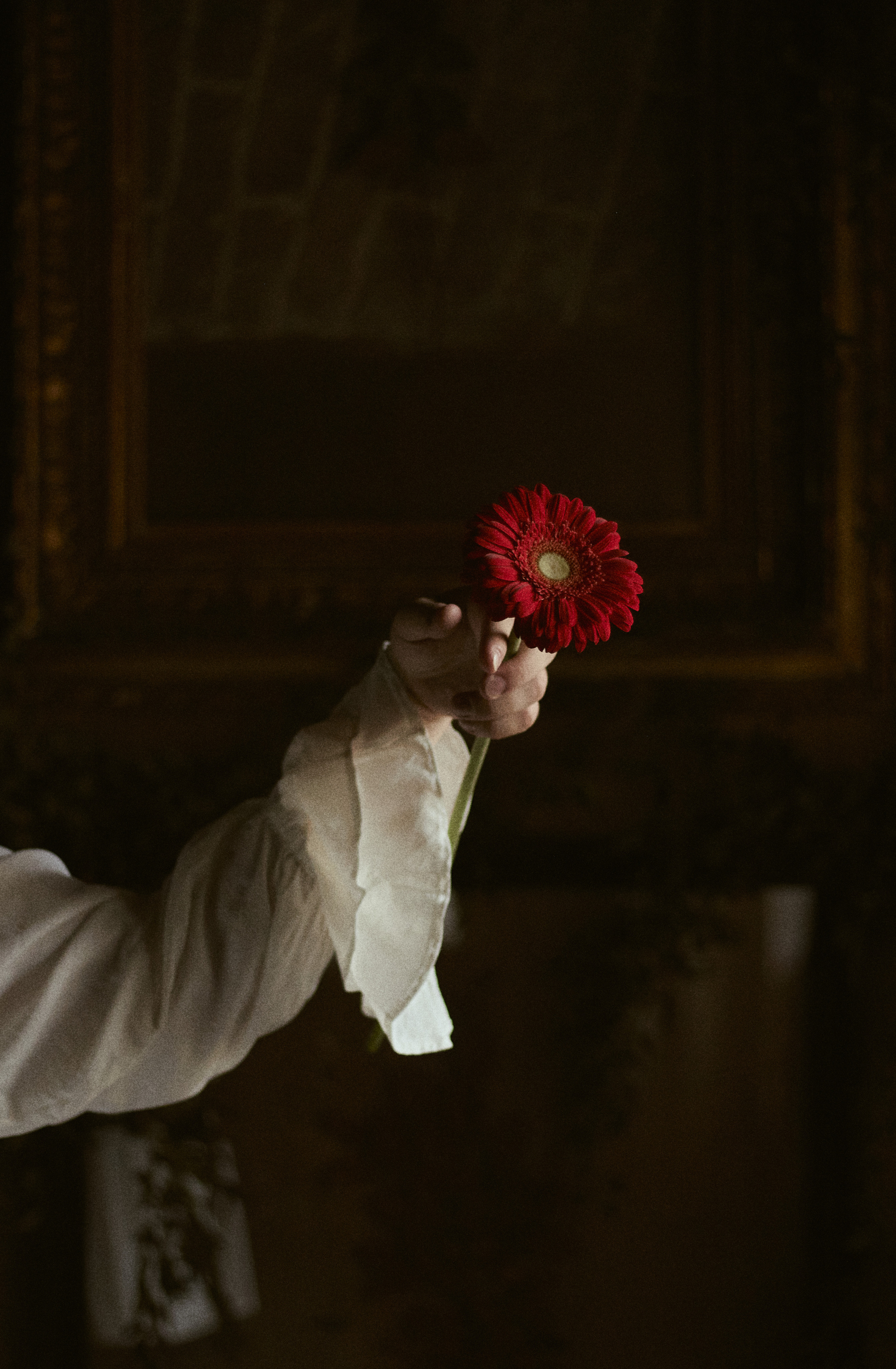 Шекспир. Фотограф лавстори Москва/МО Приятелева Ангелина