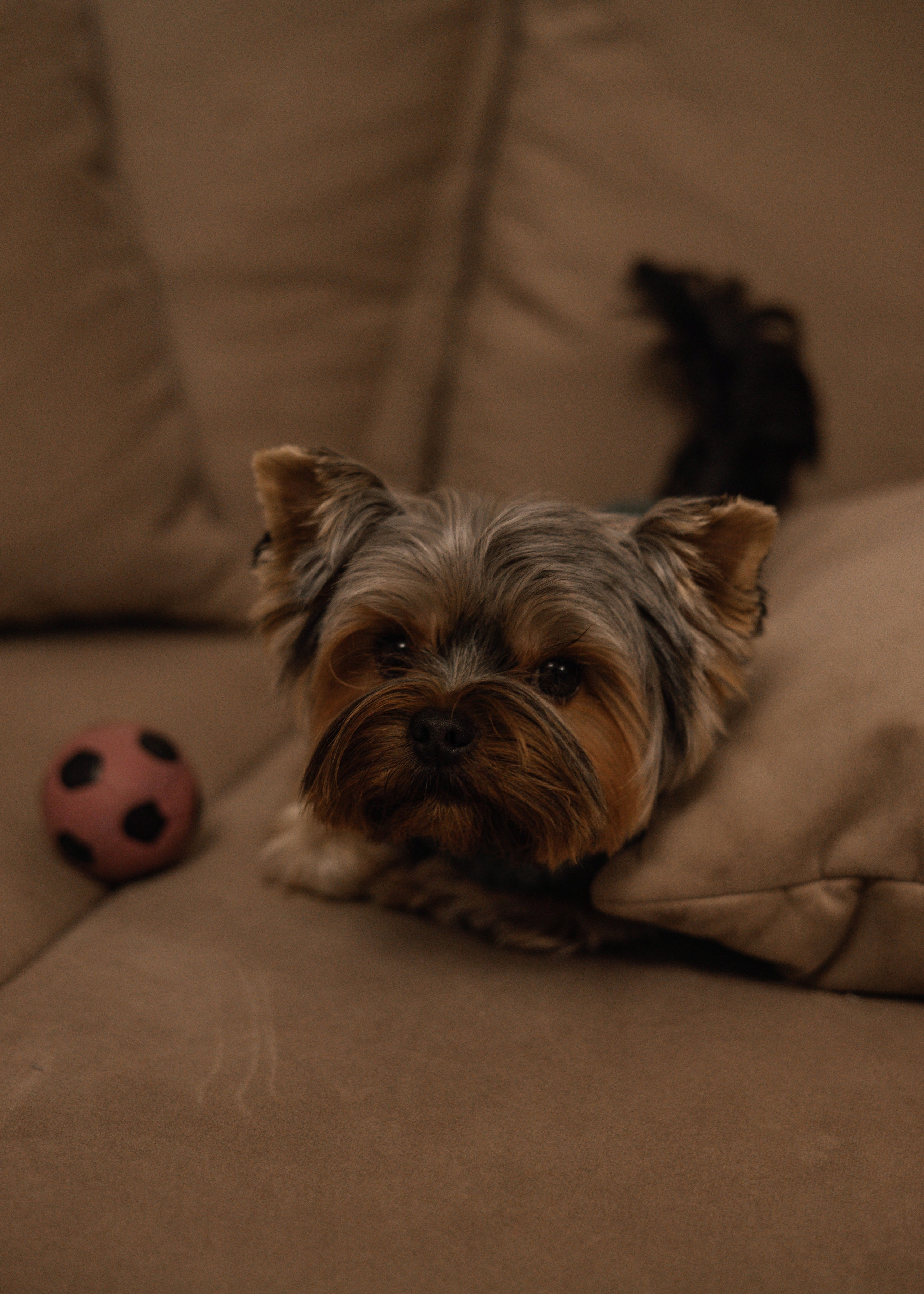 СЕМЕЙНЫЕ. Фотосессия новорожденных в Москве и Московской области