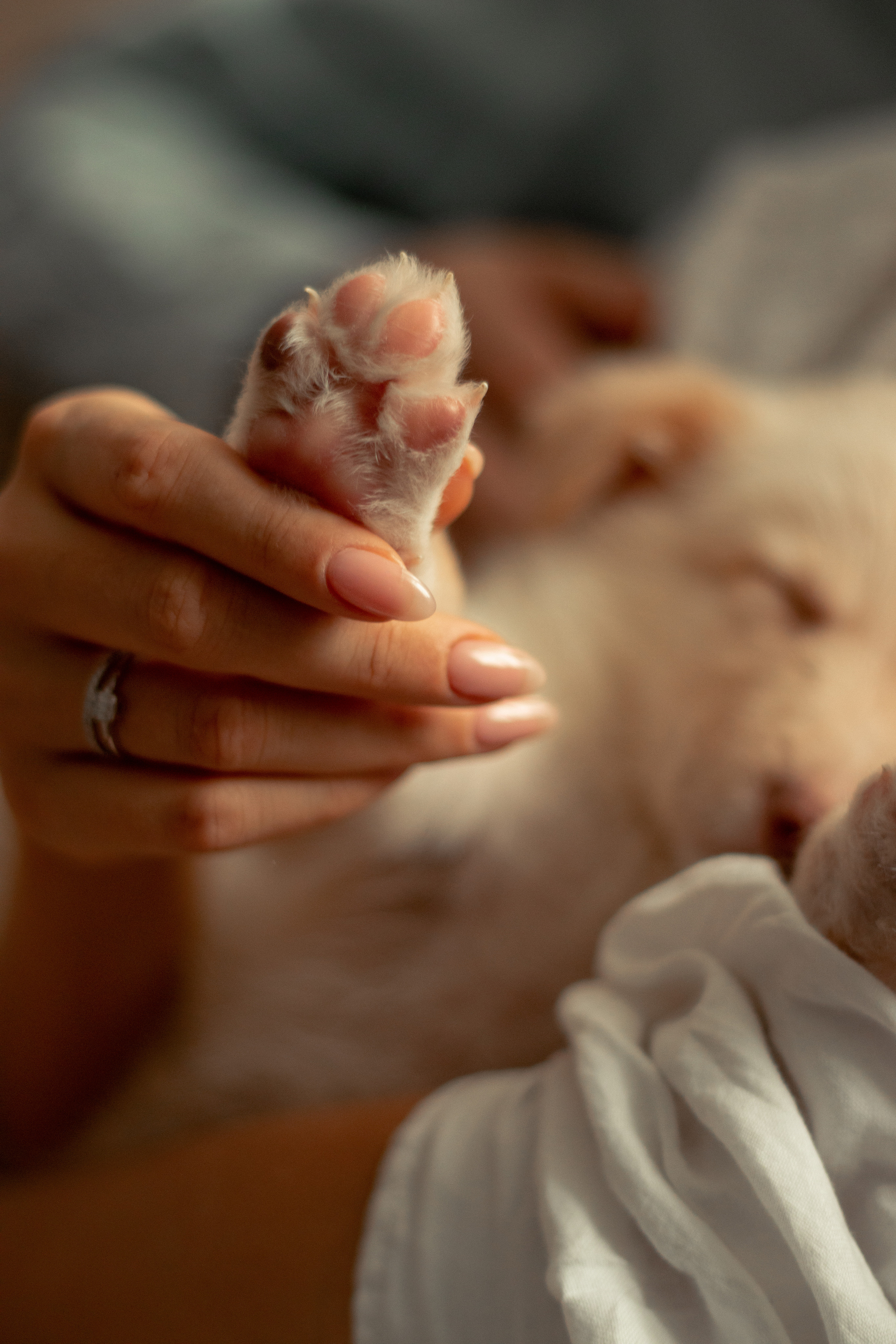 Love. Сайт фотографа