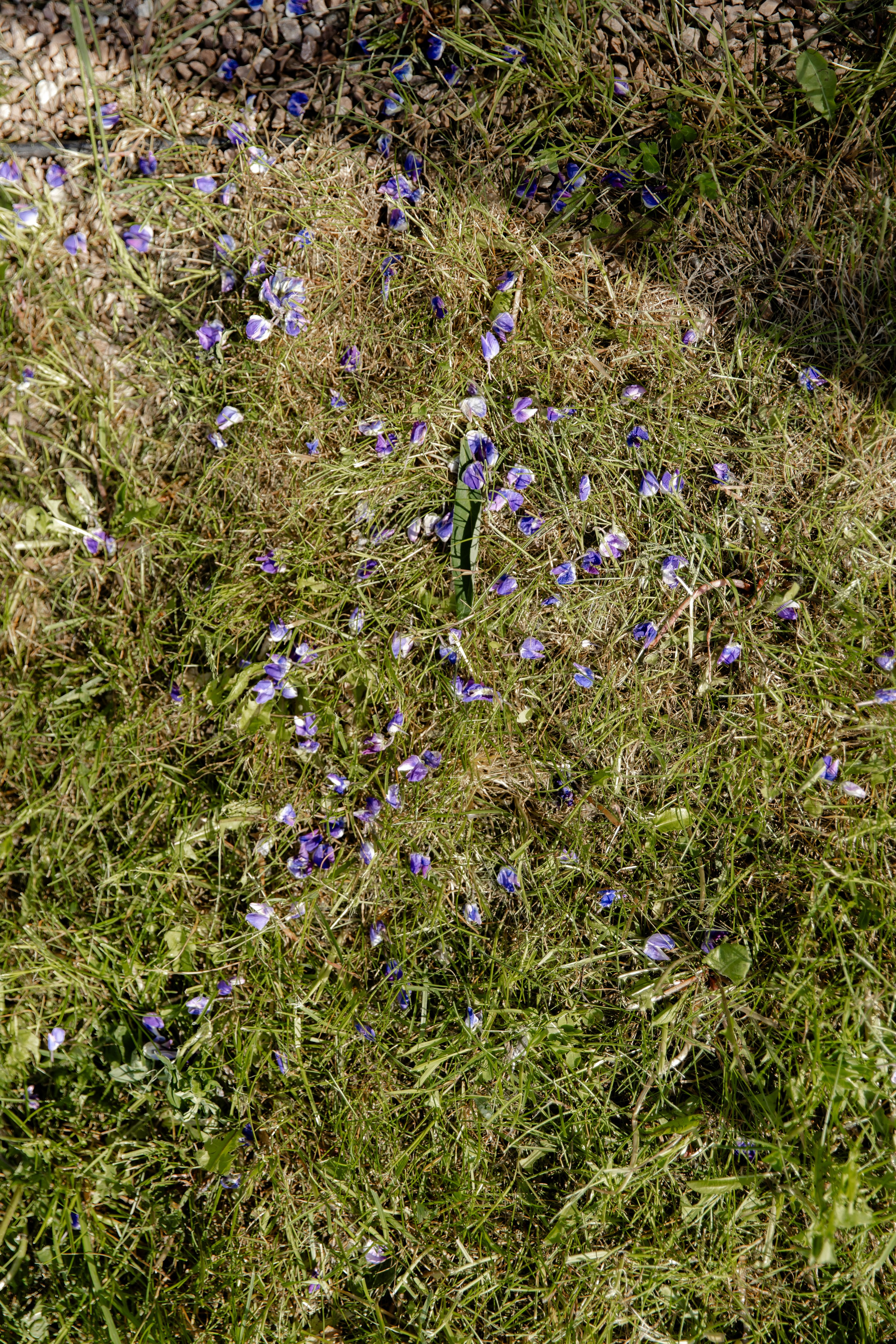 Свадебный день Сергея и Кати. Свадебный фотограф Анна Бабахина