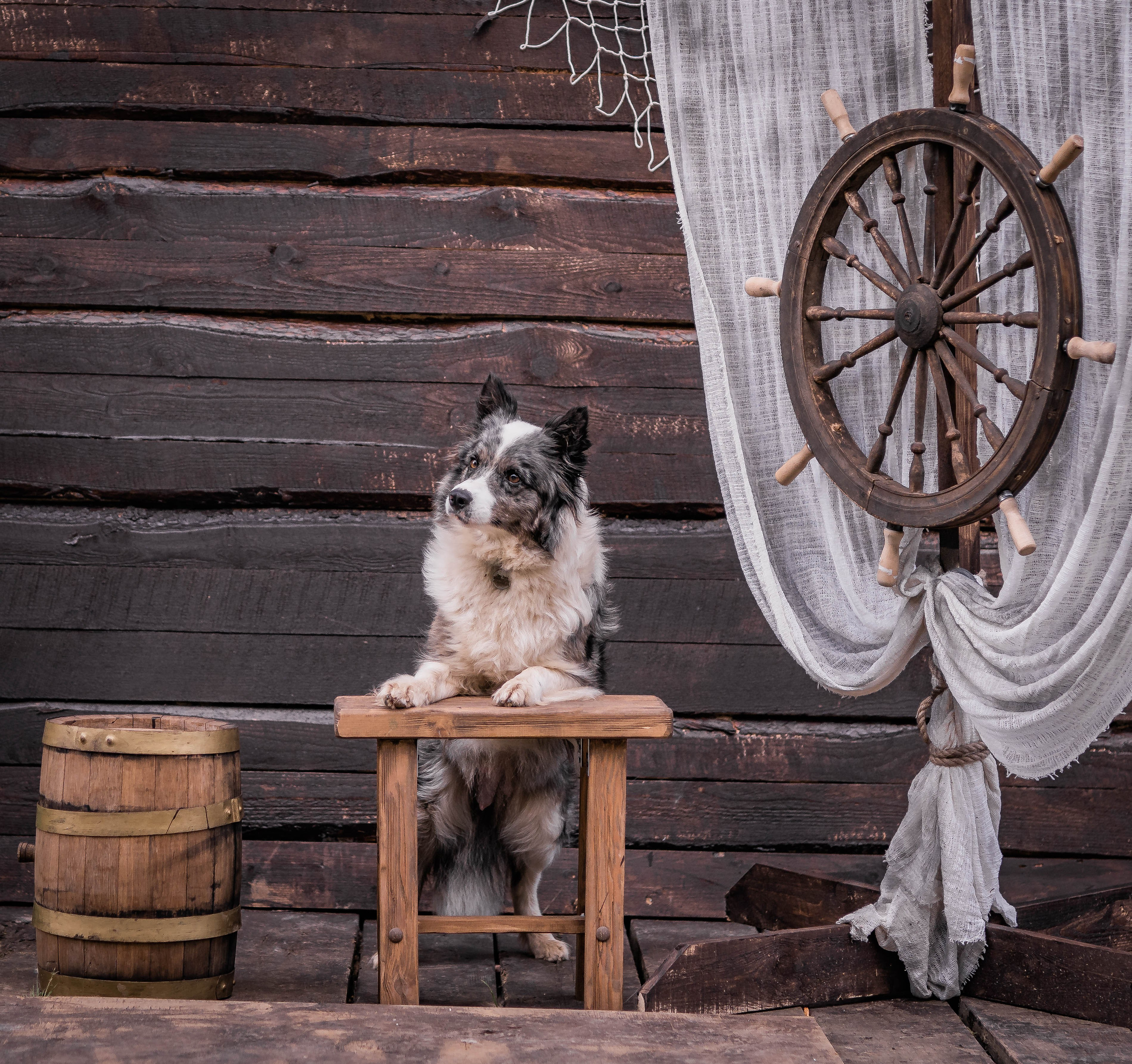 Фритсвит. Семейный фотограф Ефремова Виктория