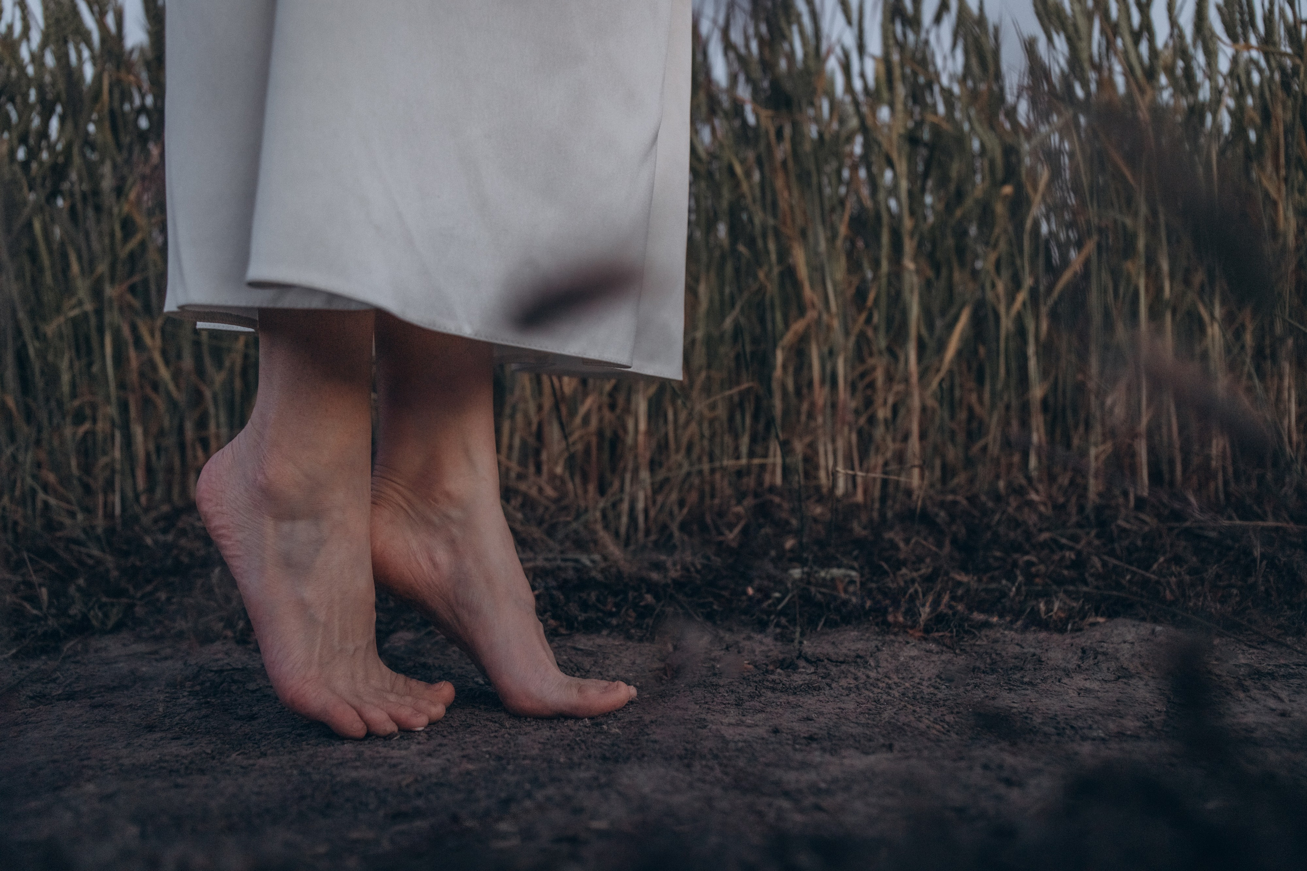 По полюшку. Свадебный и семейный фотограф Злата Вдовина