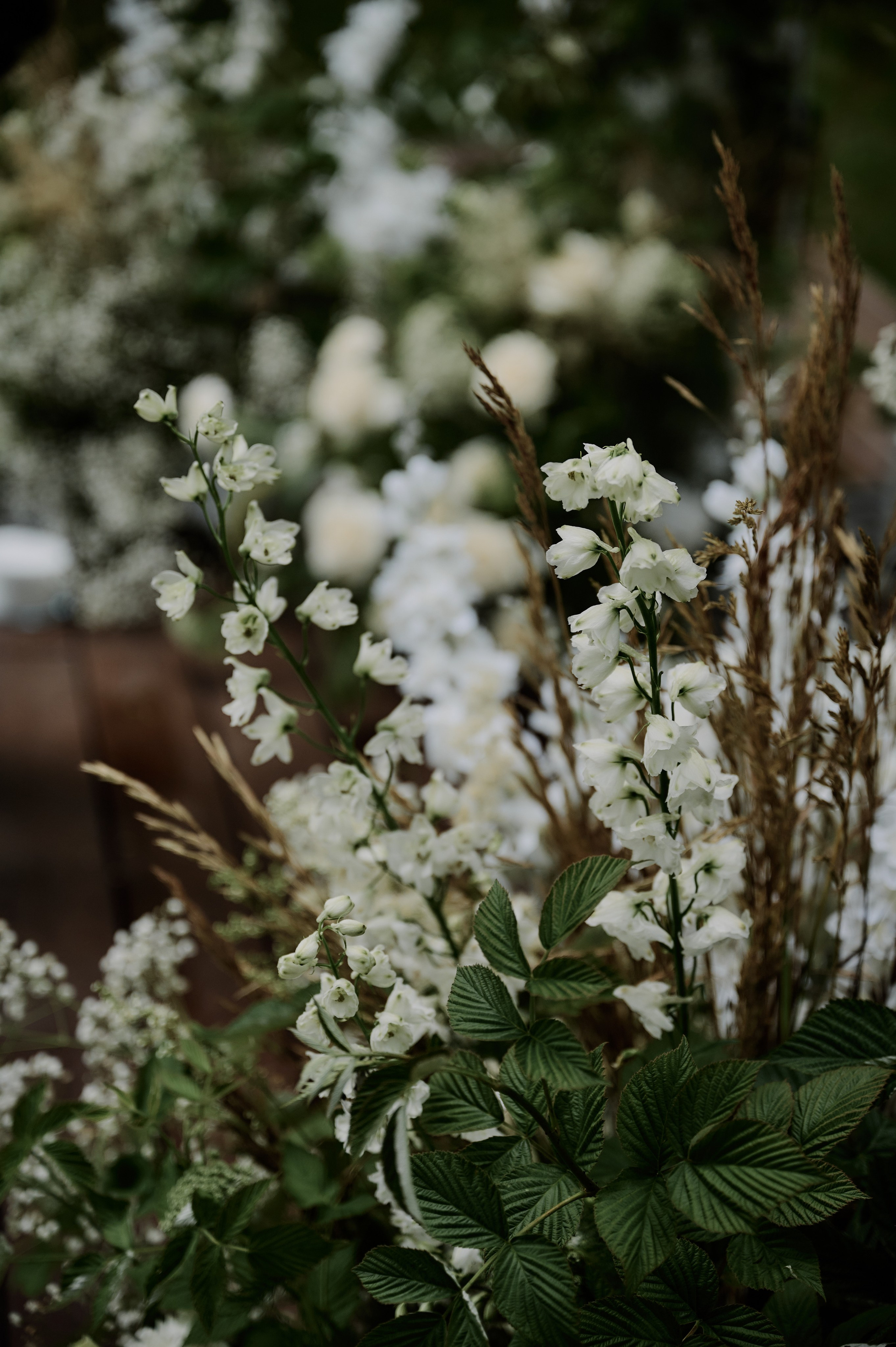M&L. Свадебный и репортажный фотограф