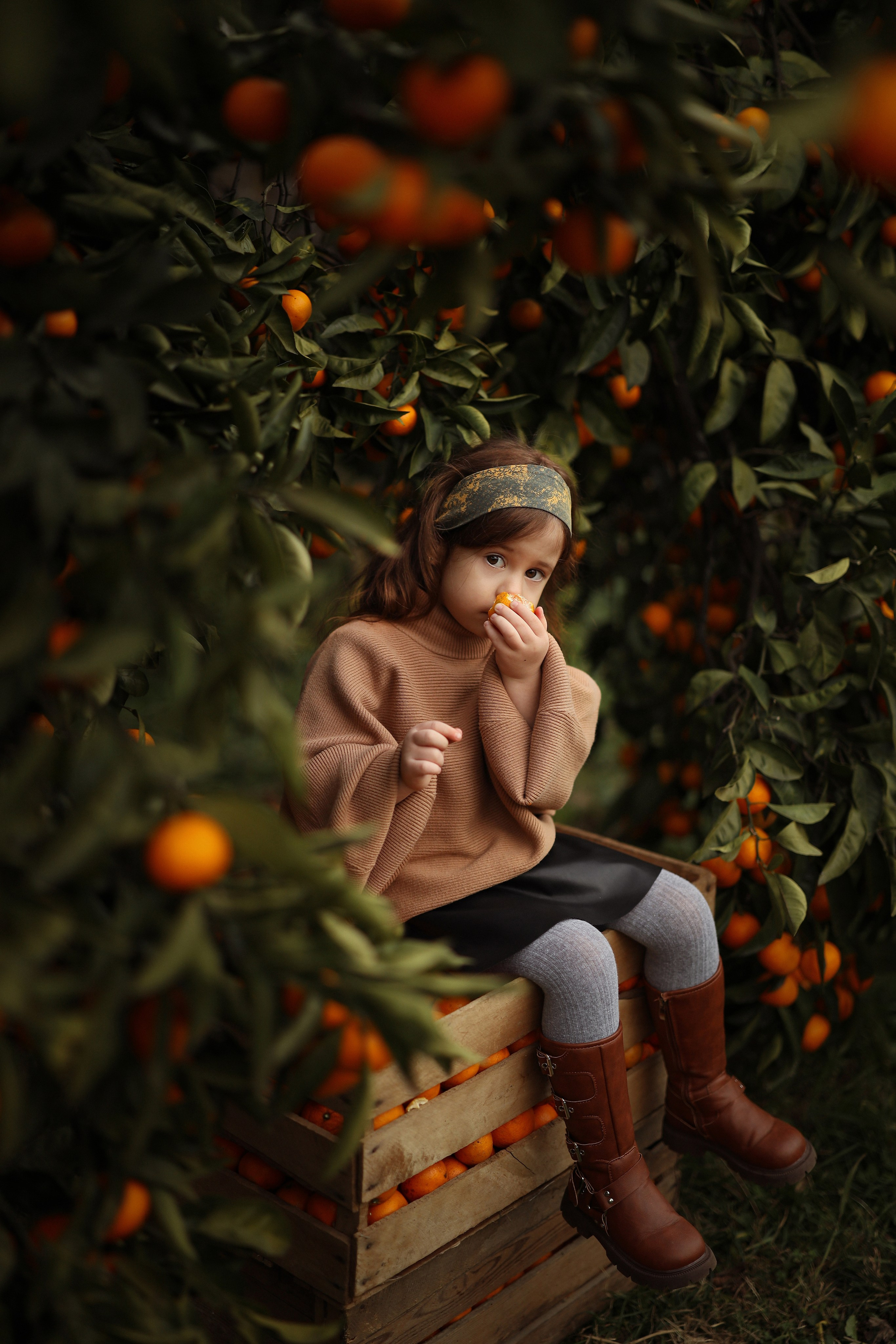 Семейная фотосессия в саду мандаринов. Свадебный и семейный фотограф в Абхазии Жанна Соснина
