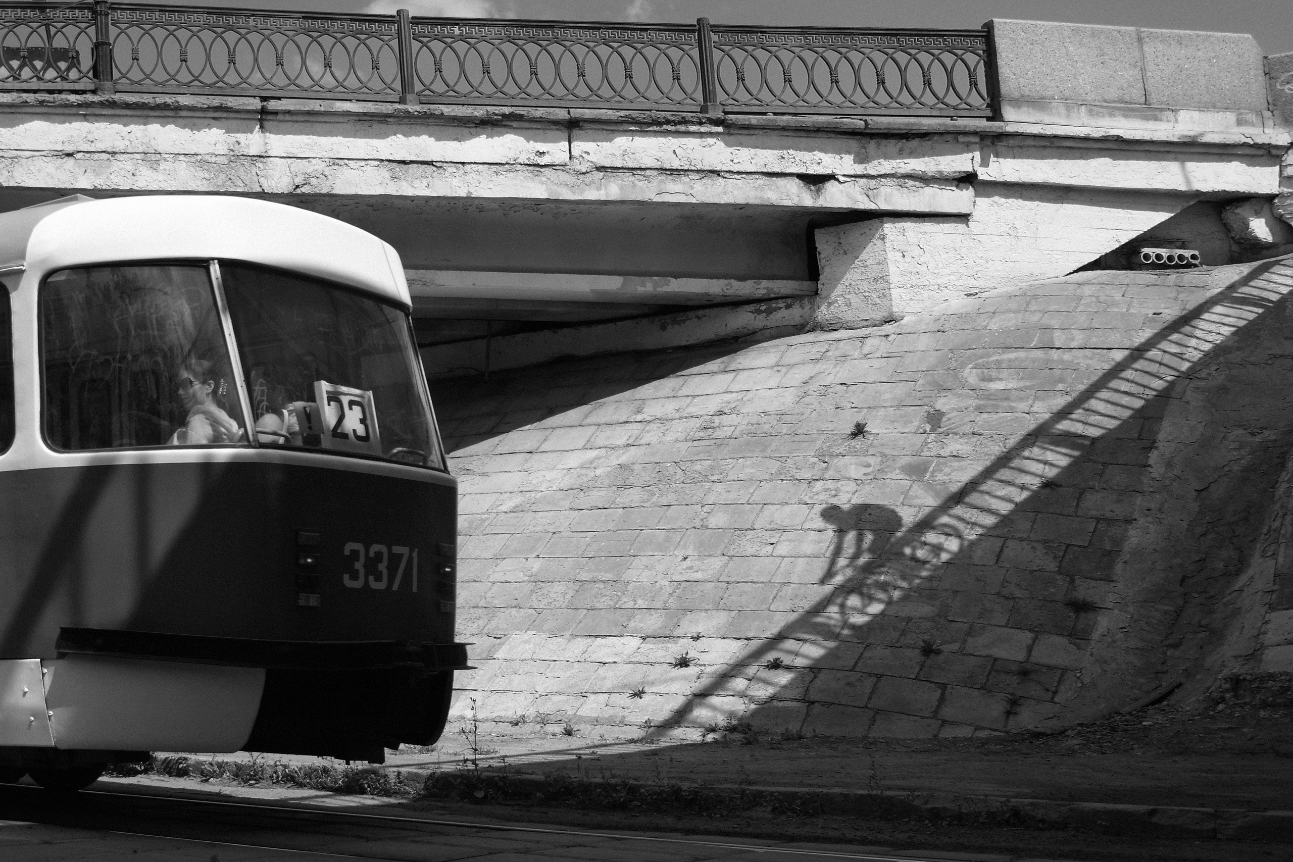 Жанр. Фотограф Лагутин Анатолий