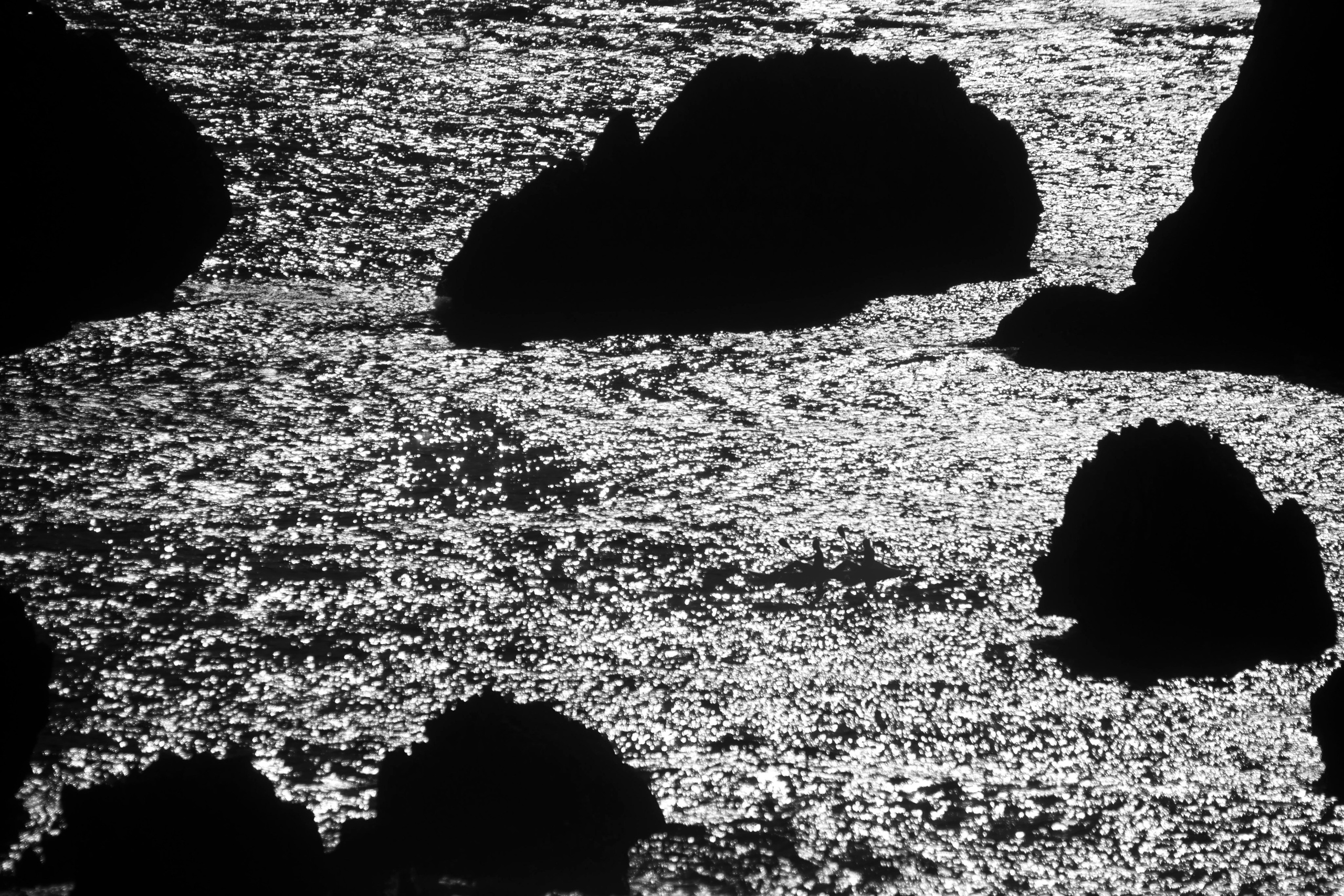 Фото. Фотограф Лагутин Анатолий