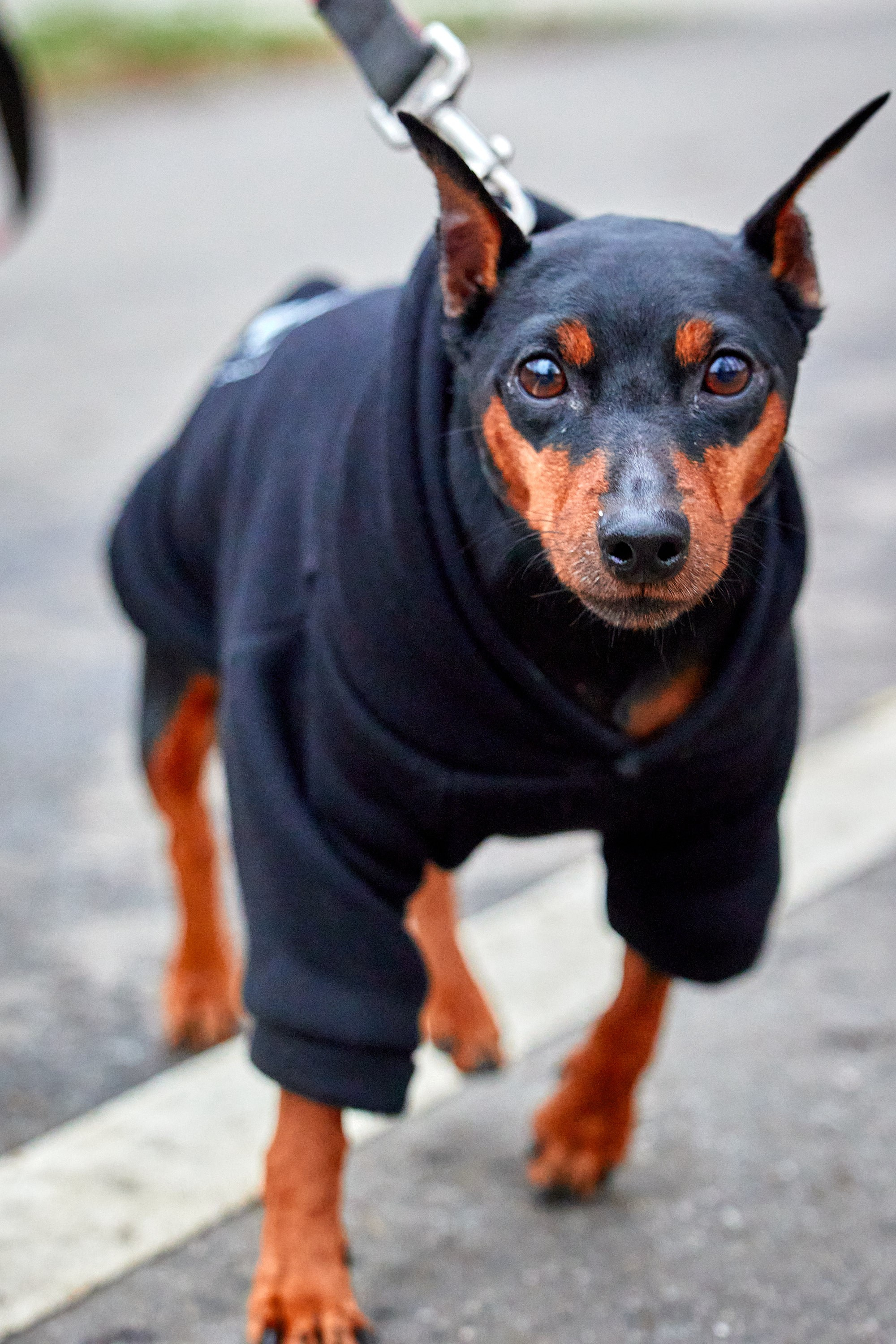 S95 Кусково. Спортивный и репортажный фотограф Андрей Баскаков