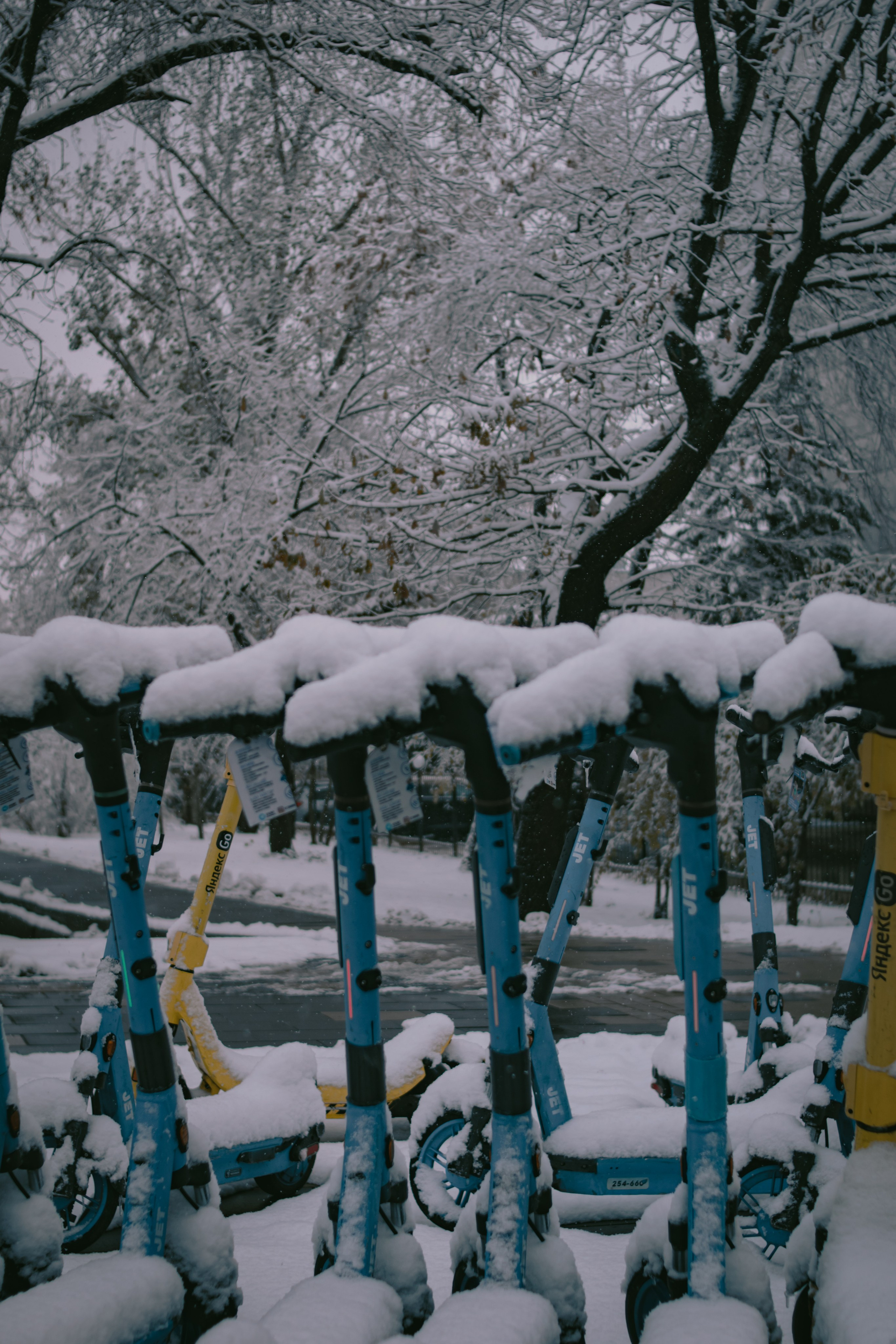 Визуальный дневник. Репортажный фотограф в Алматы Цой Сергей
