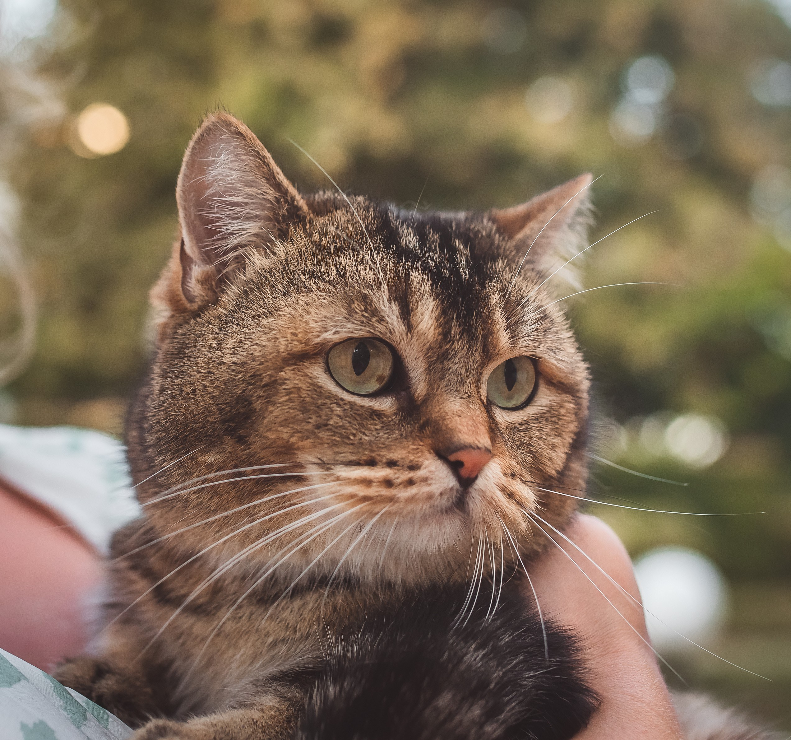 Фотосессия Лозенец. Фотограф в Болгарии. Фотограф в Созополе