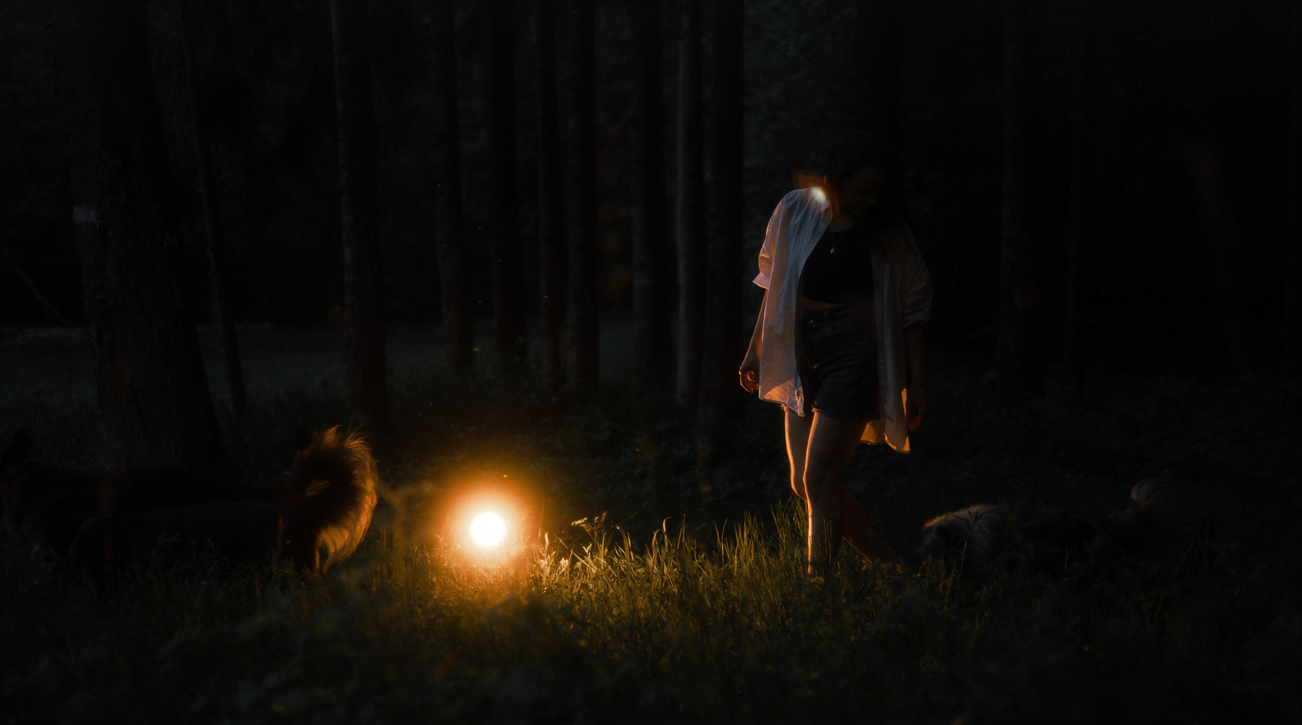 Настя, Шуня, Милка и Тигуан. Фотограф-анималист Богданова Полина