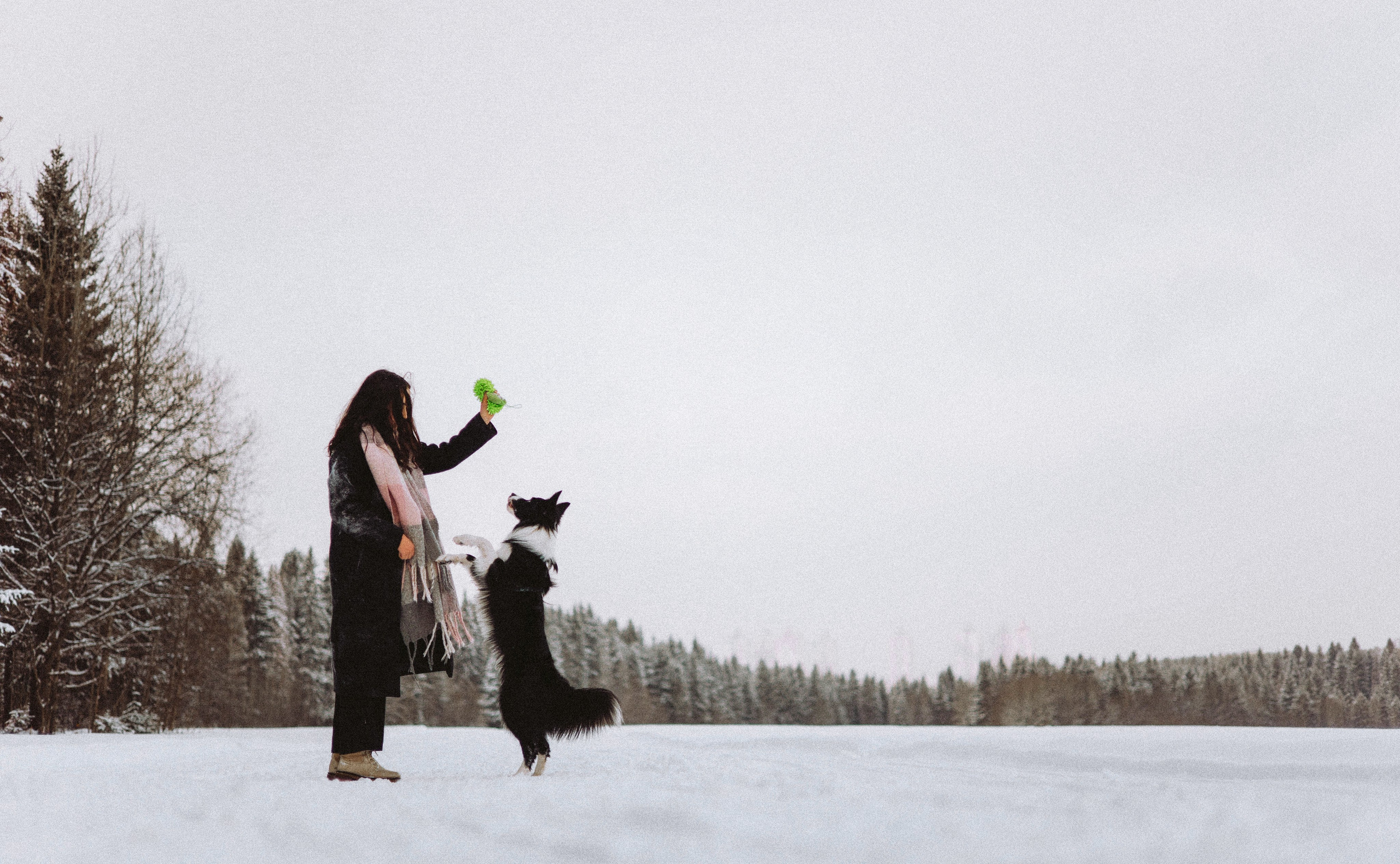 Алина и Найт. Фотограф-анималист Богданова Полина