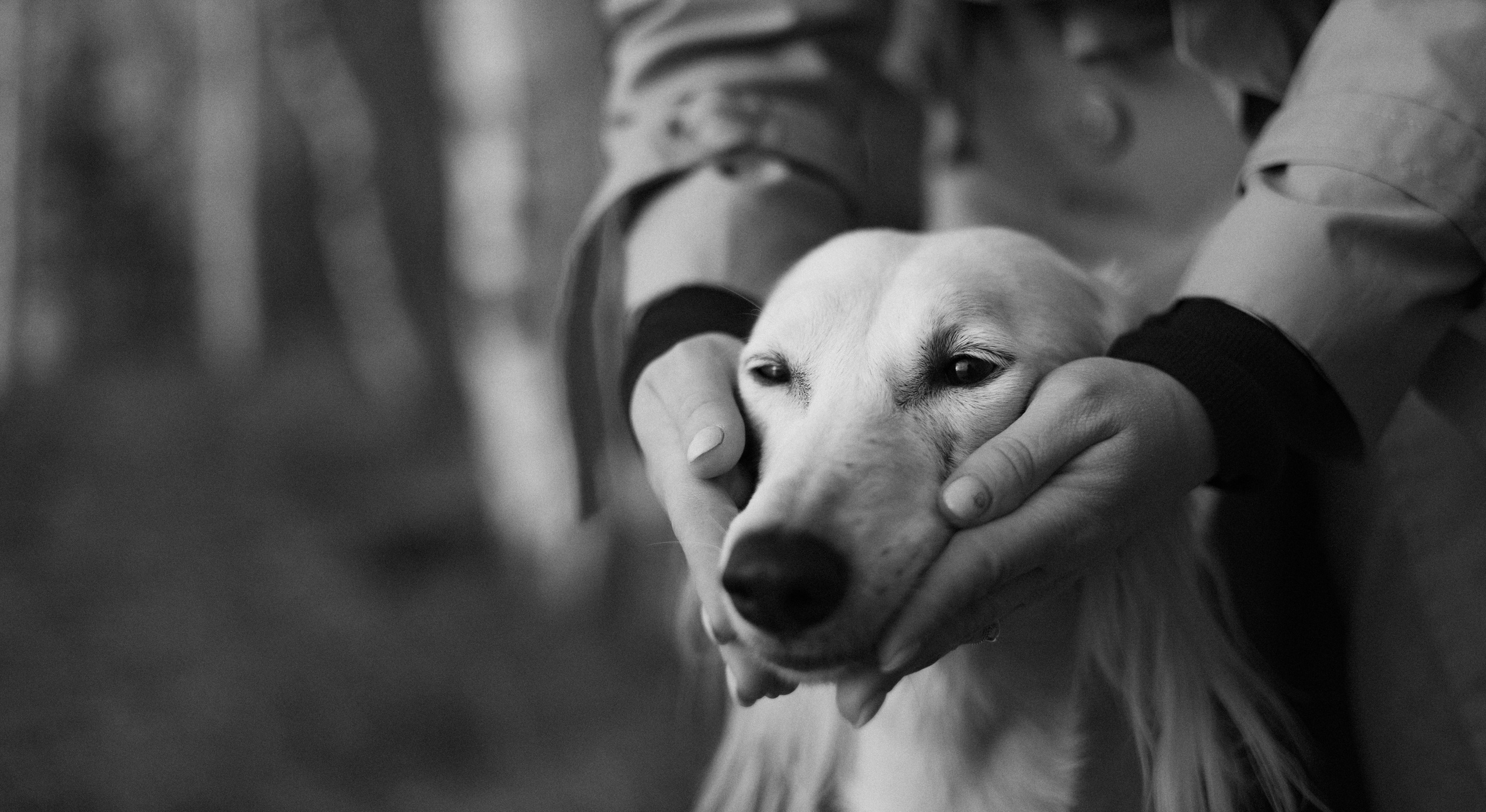 Настя и Бейда. Фотограф-анималист Богданова Полина