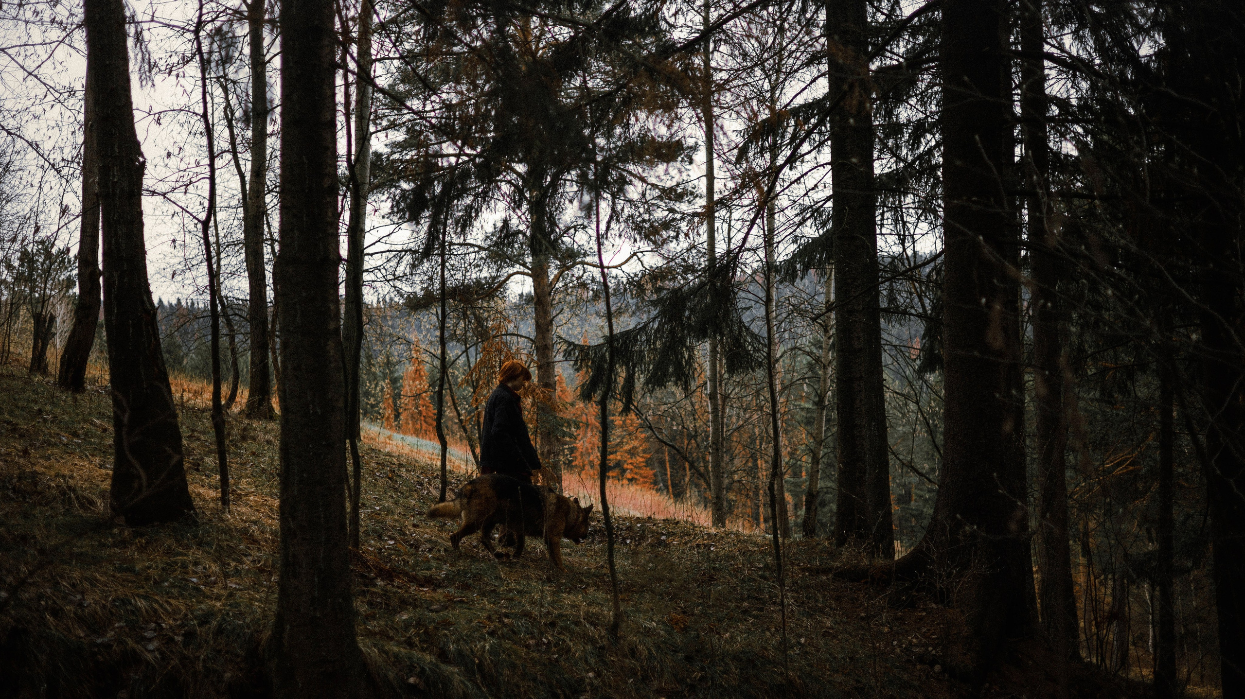 Лера и Ральф. Фотограф-анималист Богданова Полина