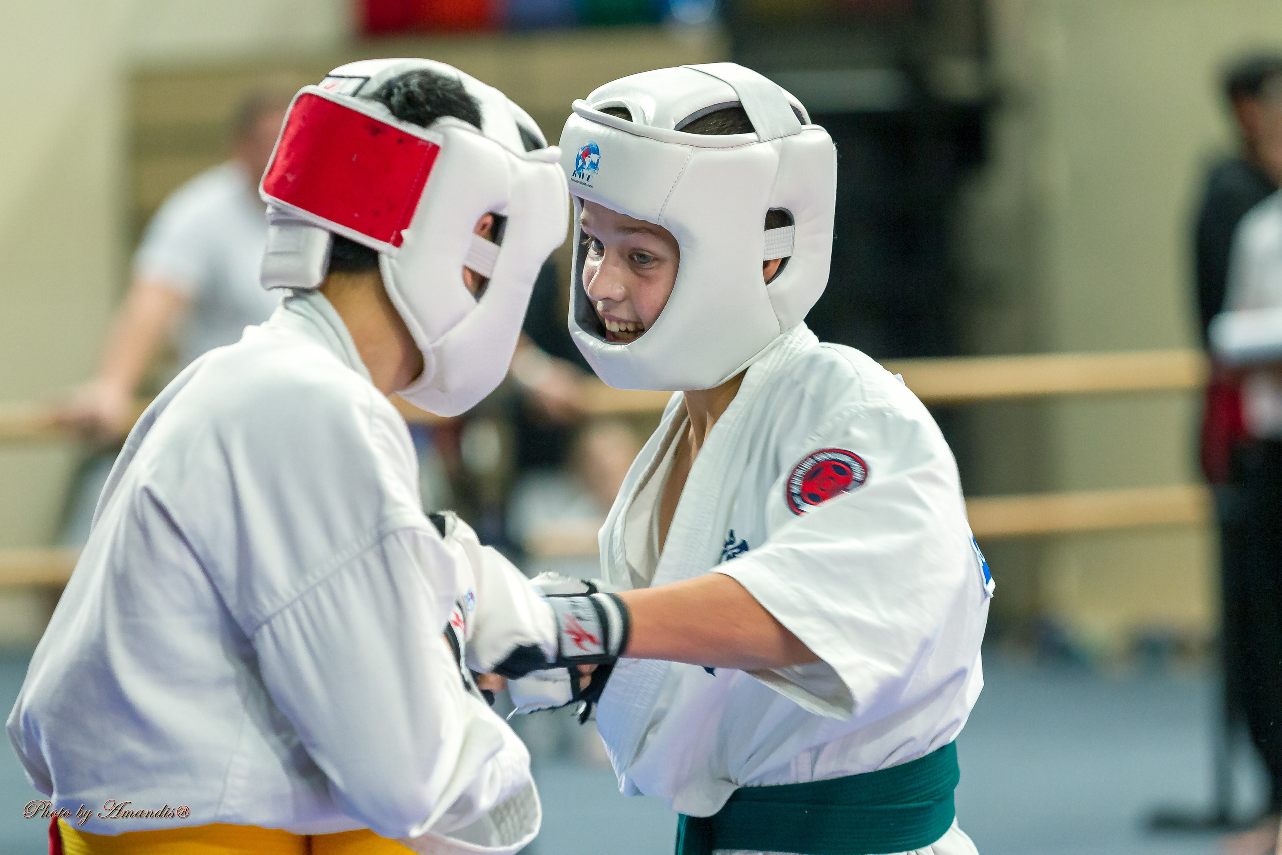 Первенство Московской области по Киокушин в СК «Жаворонки». Репортажная съемка в Москве и области. Анималистика