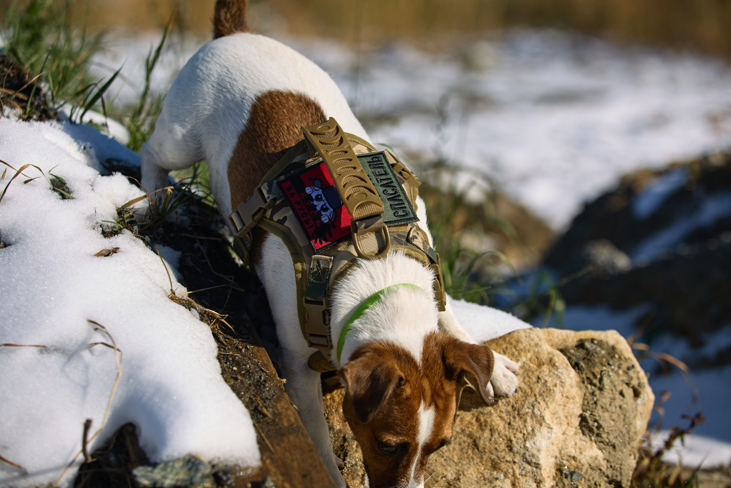 Лети Спасатель. Buyvolenko Andrey