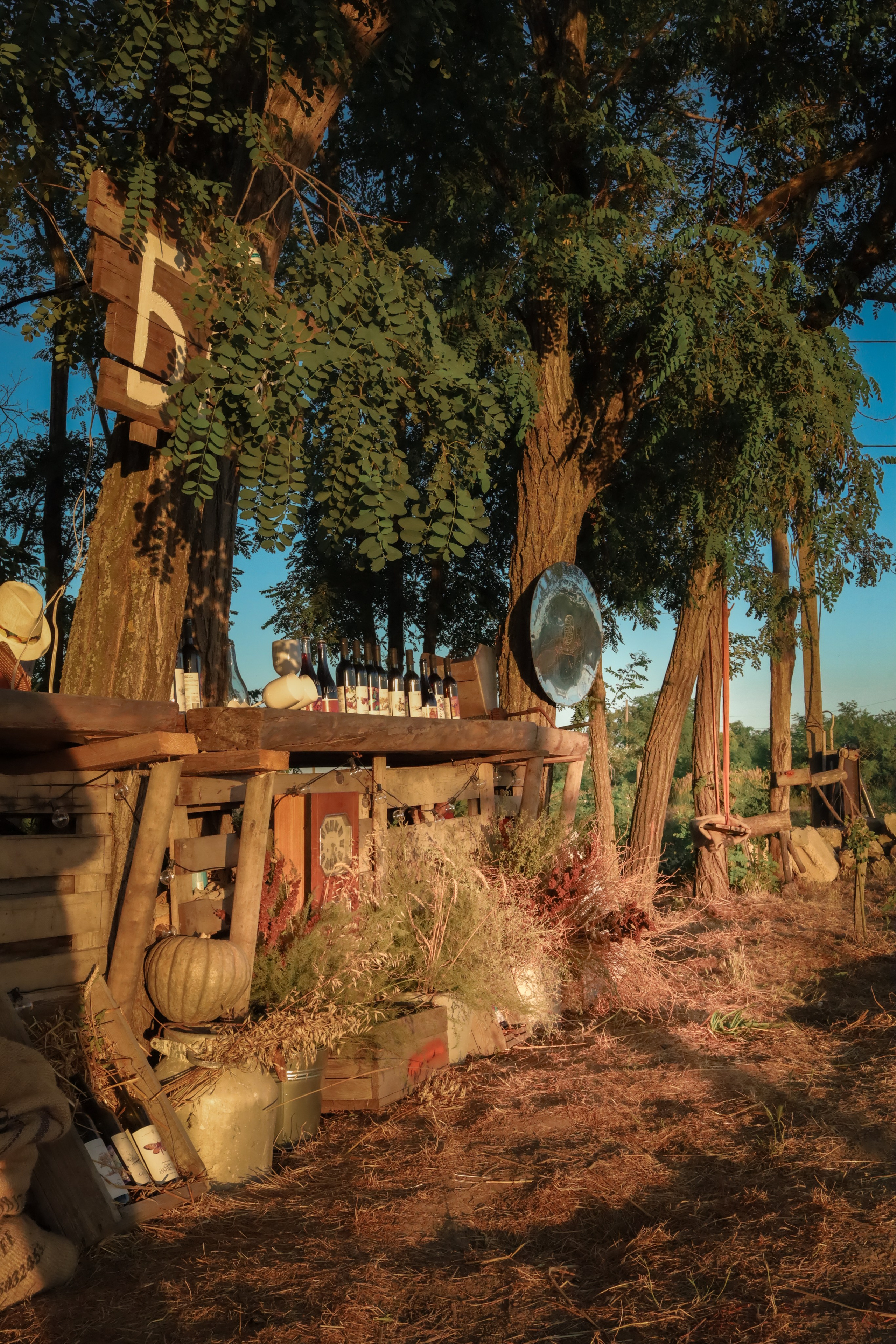 Вечеринка на частной винодельне ✨. Женский портрет и немного больше в Санкт-Петербурге