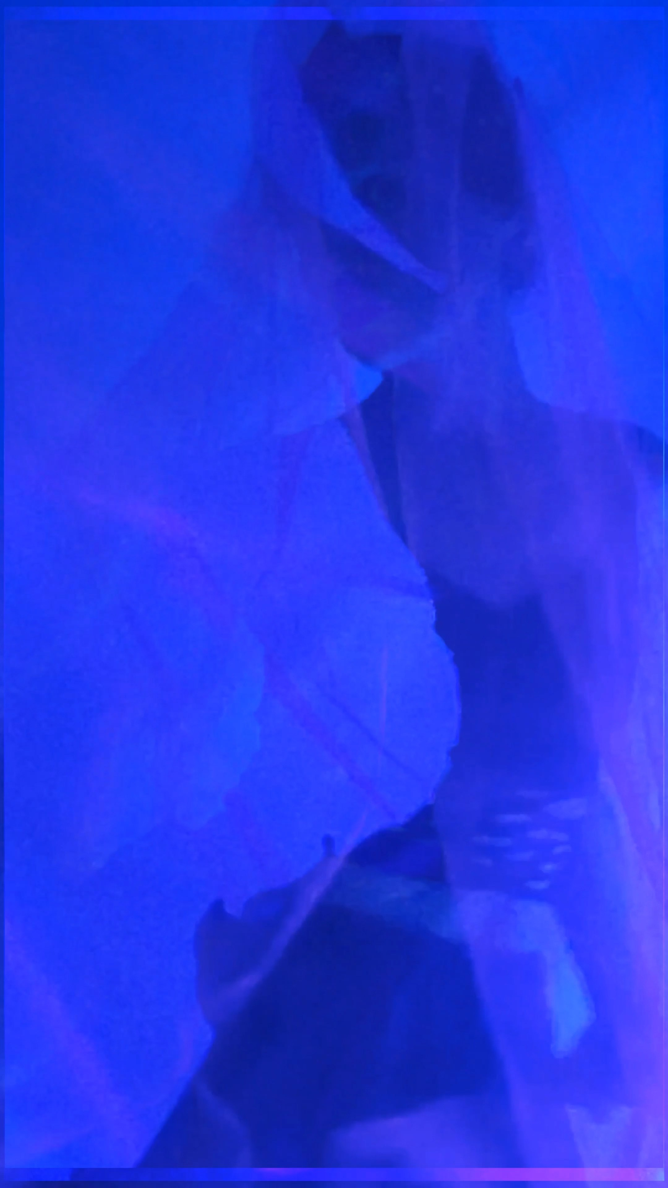 THE SAPPHIRE VEIL. Exclusive Closing Gifts for Top Realtors | Custom House Portraits by Yulia Yurchevskaya