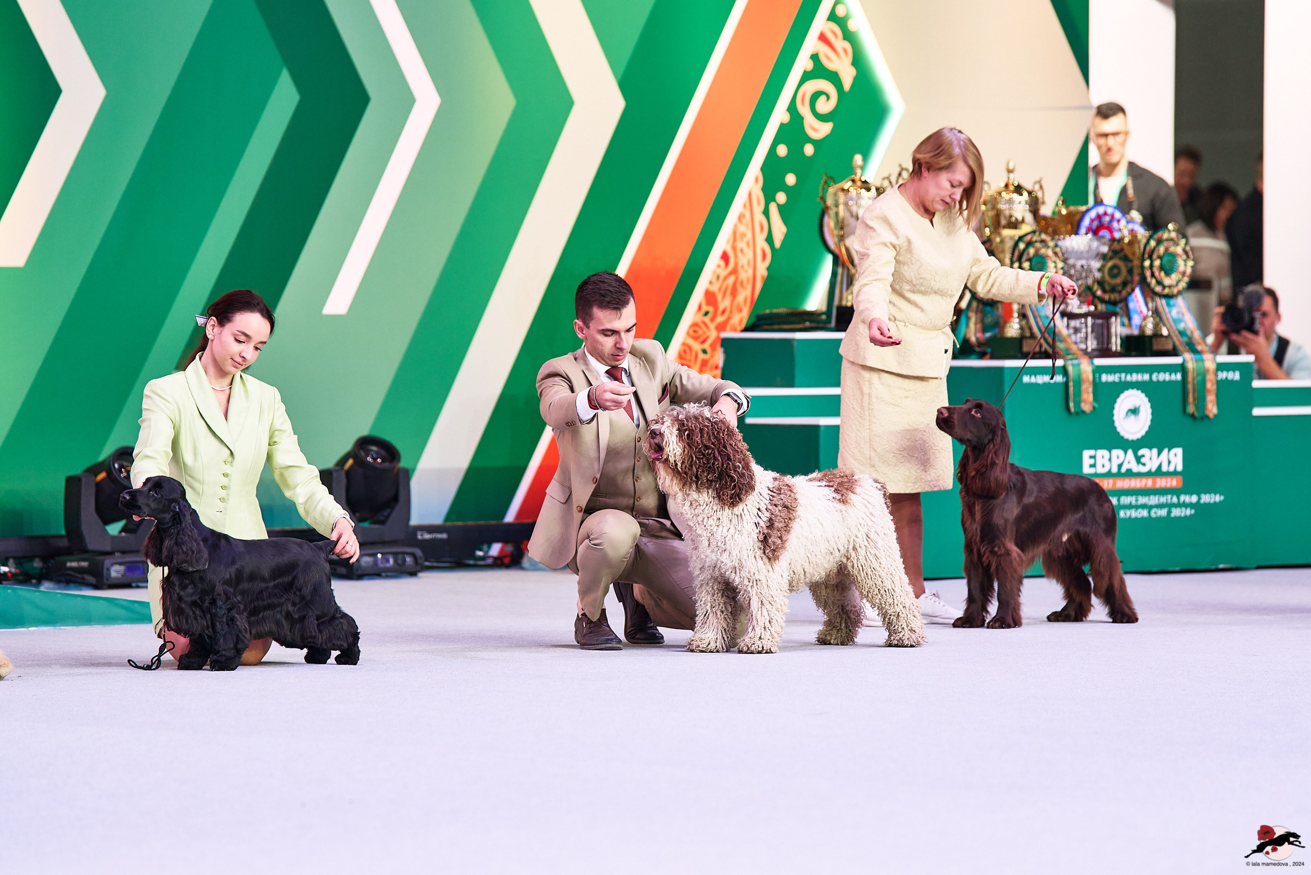 16.11.2024 «ЕВРАЗИЯ. КУБОК ПРЕЗИДЕНТА РКФ 2024»