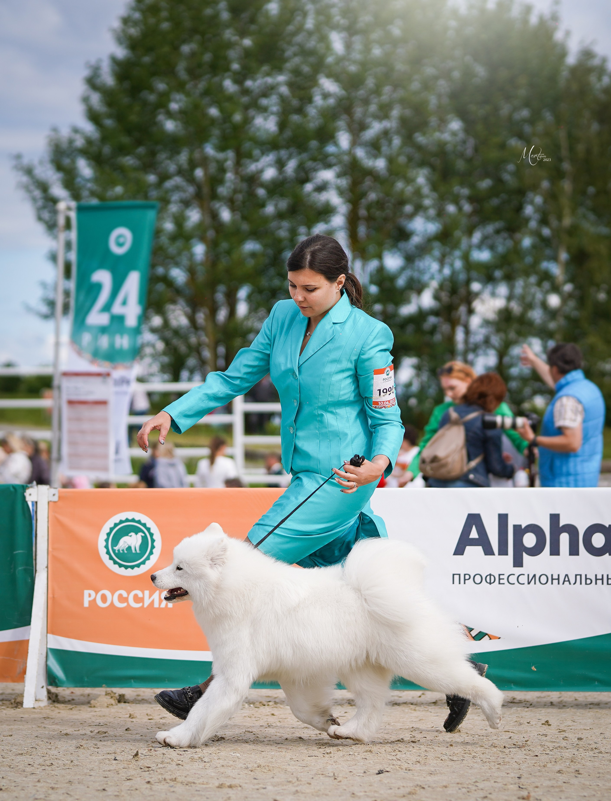 Выставки 2023. Фотограф-анималист в Санкт-Петербурге Яна Мартынова