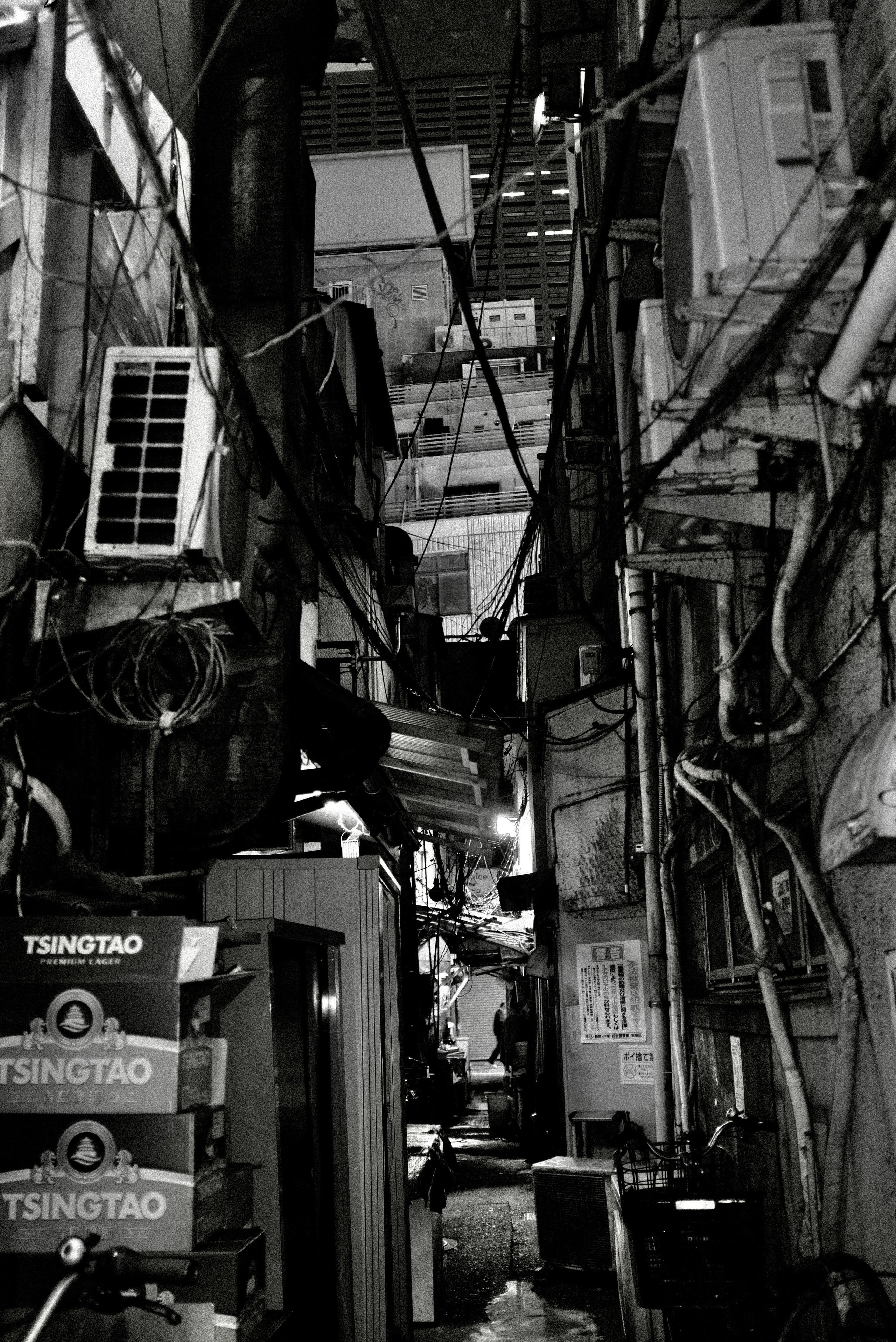 Faces of Tokyo. Regina Platonova