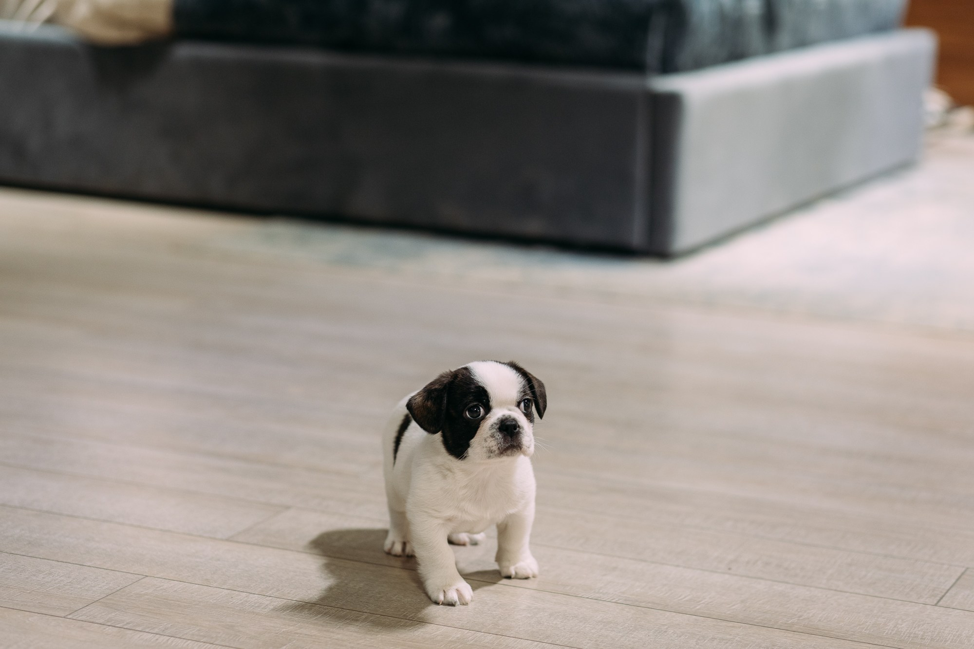 Дядьково. AI Креатор