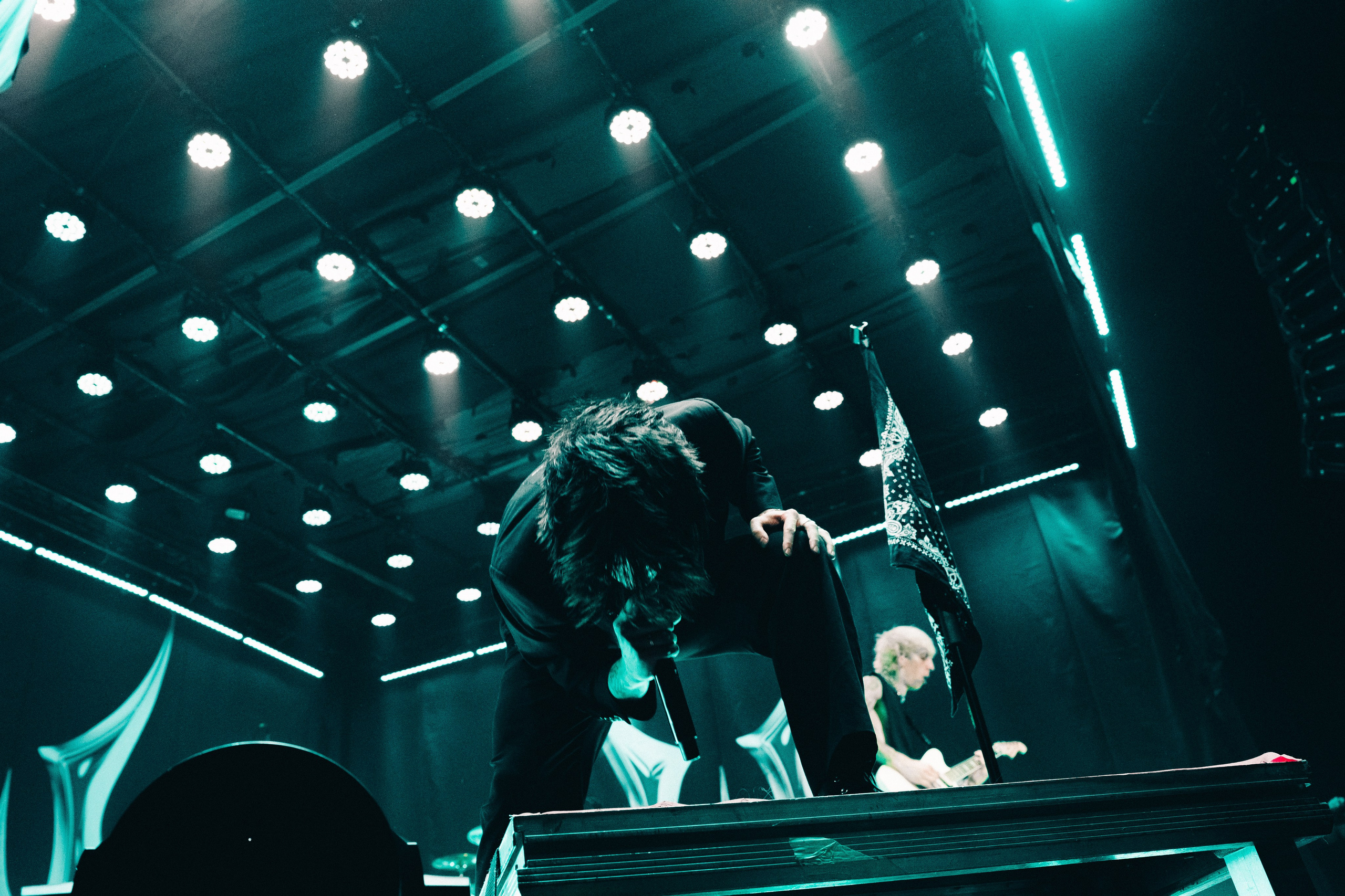 WILDWAYS. PASHAHARCE PHOTOGRAPHER & VIDEOGRAPHER