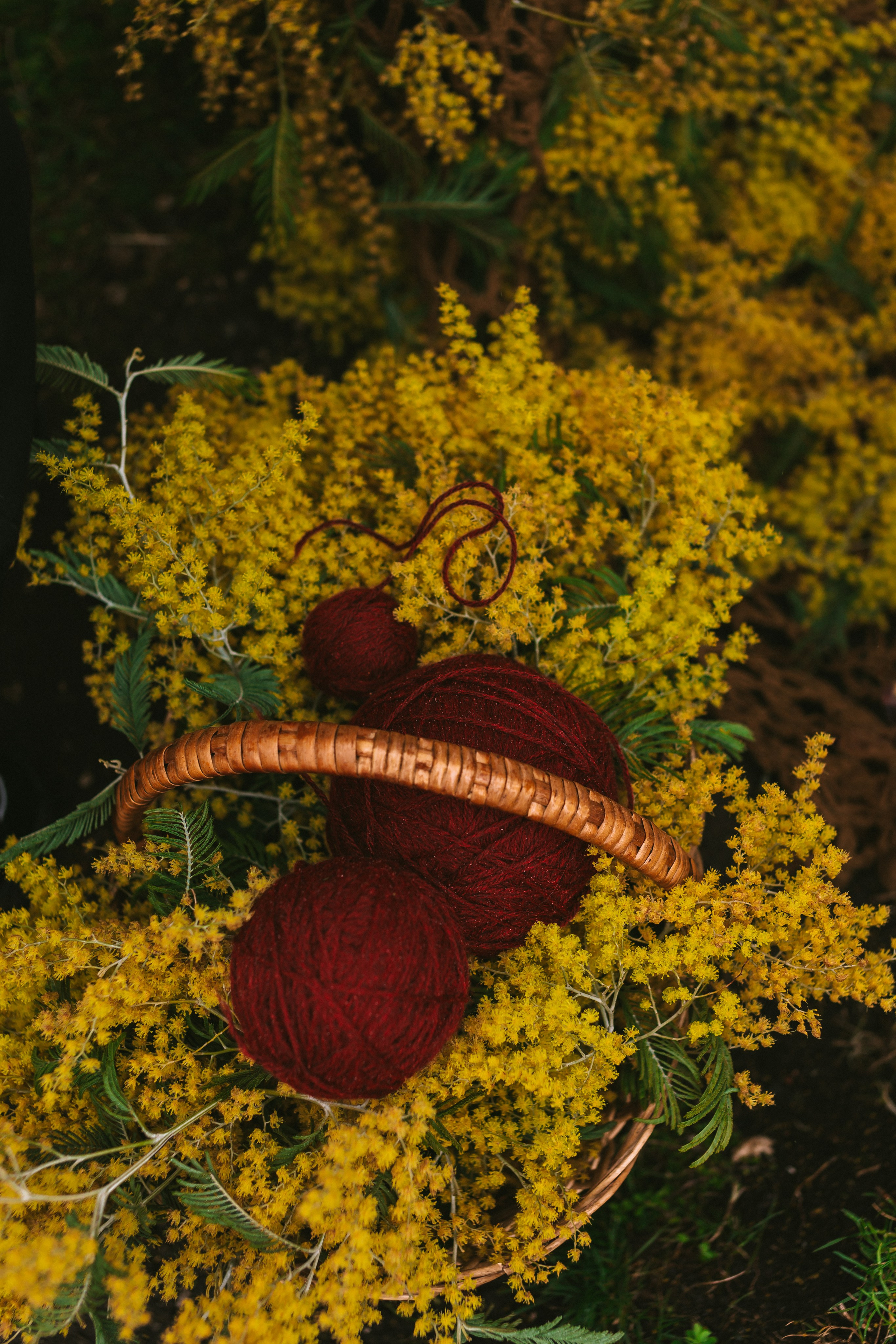 Девочка в горах. Семейный и художественный фотограф в Тюмени Юлия Логинова