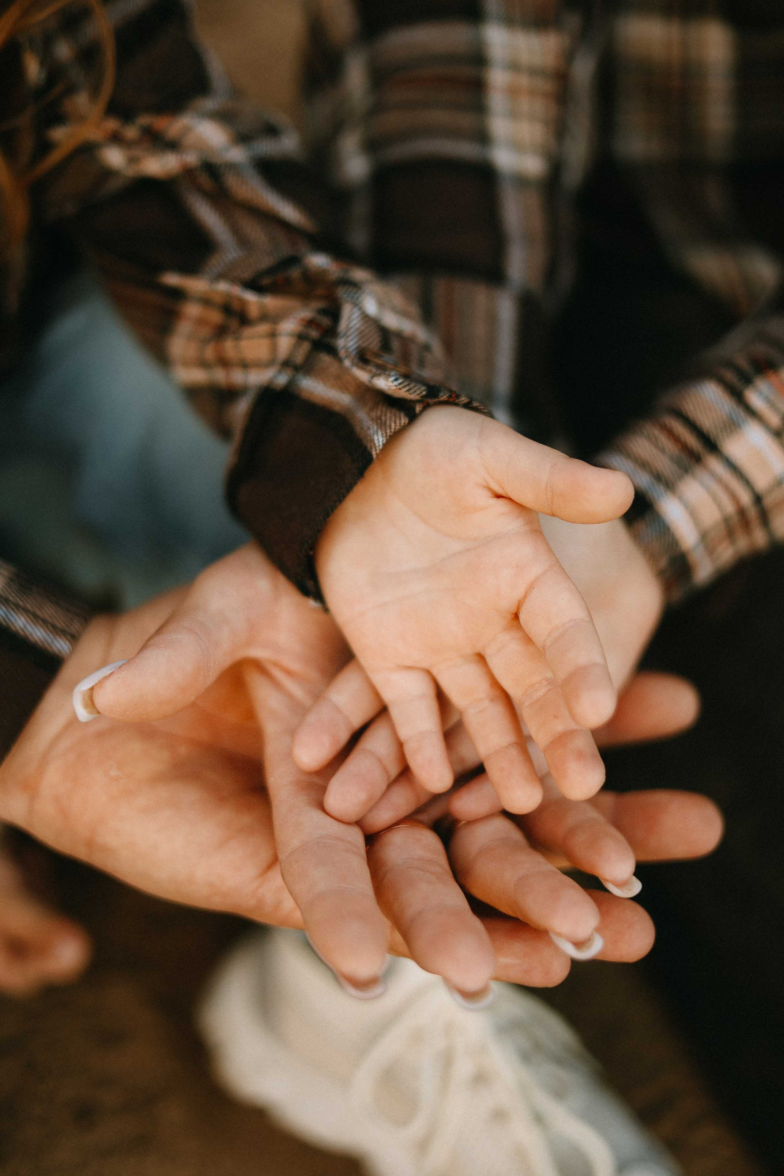 Евгений & Юлия & Полина & Юлия. Фотограф Елизавета Наумова