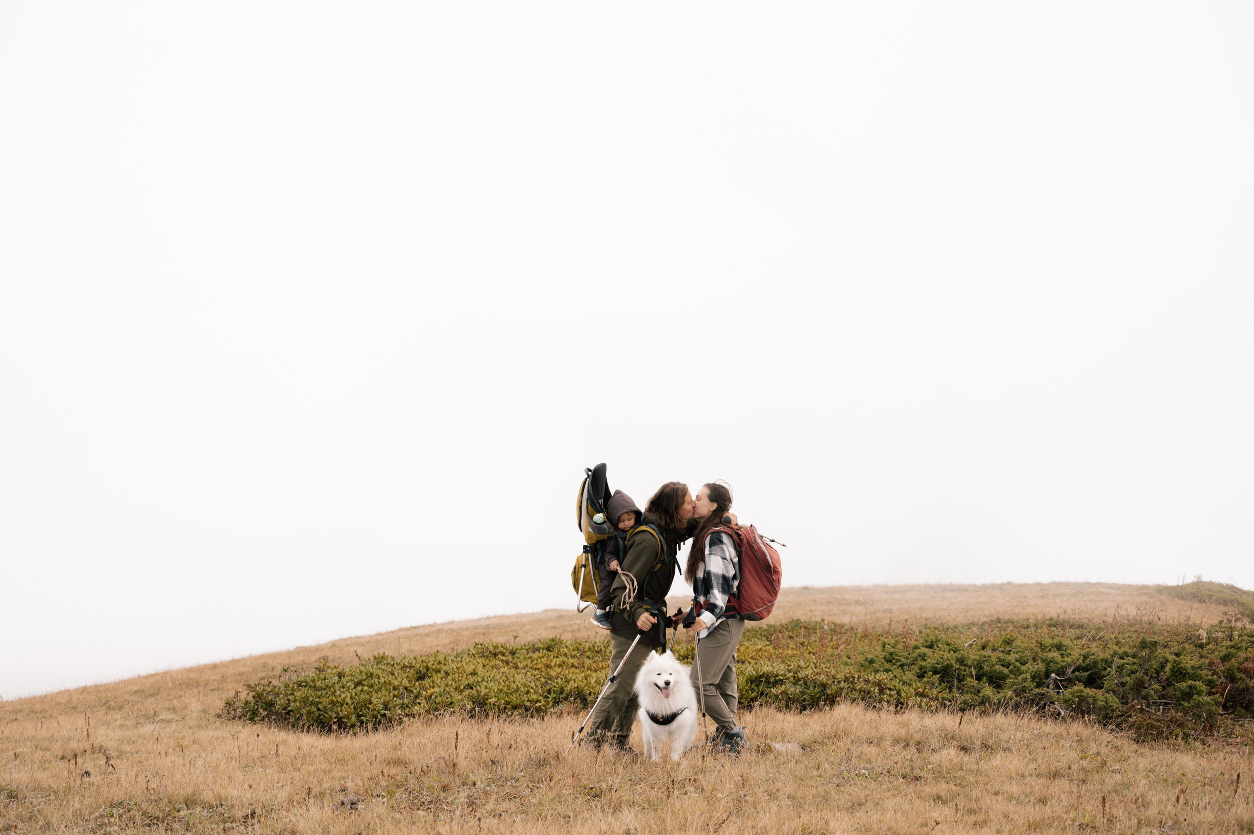 Выше гор только любовь. Свадебный и семейный фотограф Вероника Холод