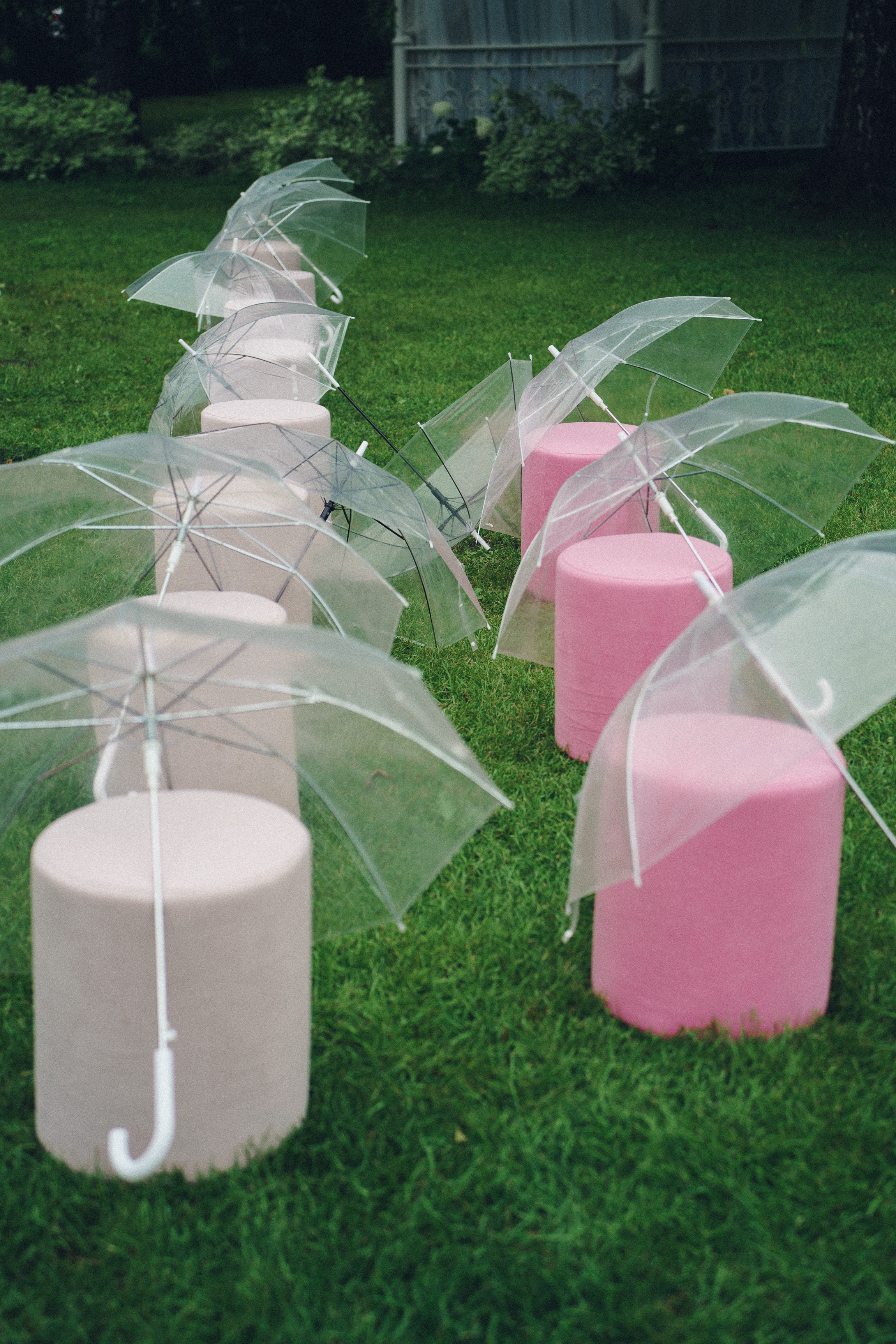 Равиль и Эльмира. Юлия Тайцай фотограф, Анатолий Тайцай видеограф