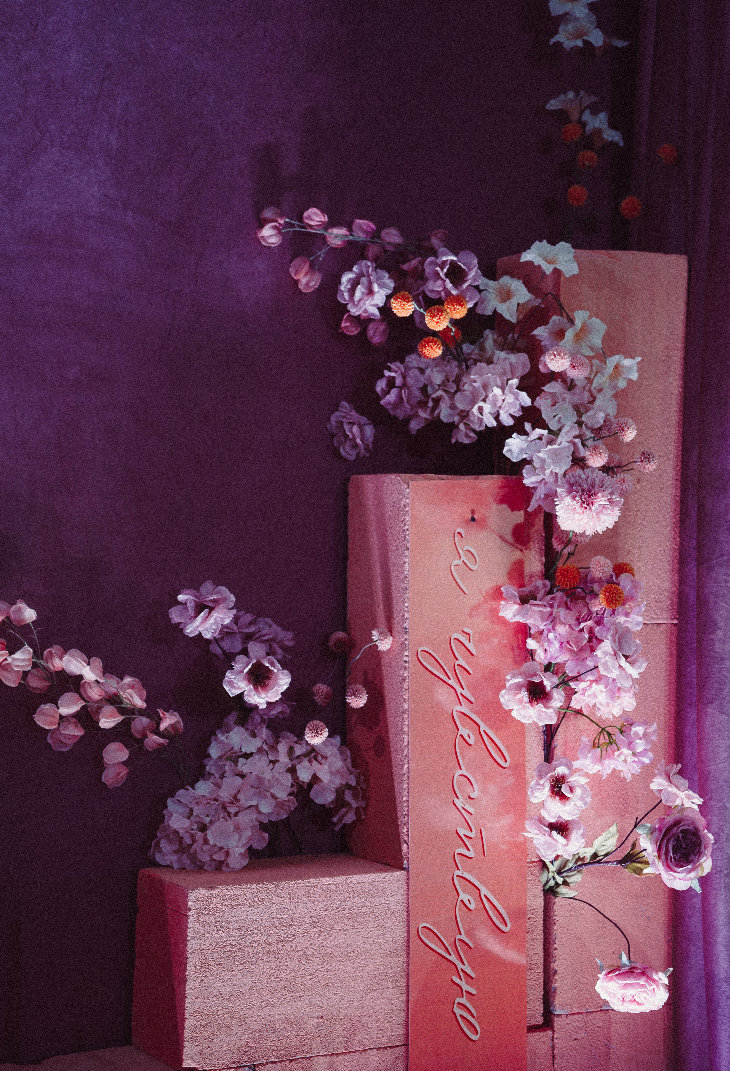 Равиль и Эльмира. Юлия Тайцай фотограф, Анатолий Тайцай видеограф