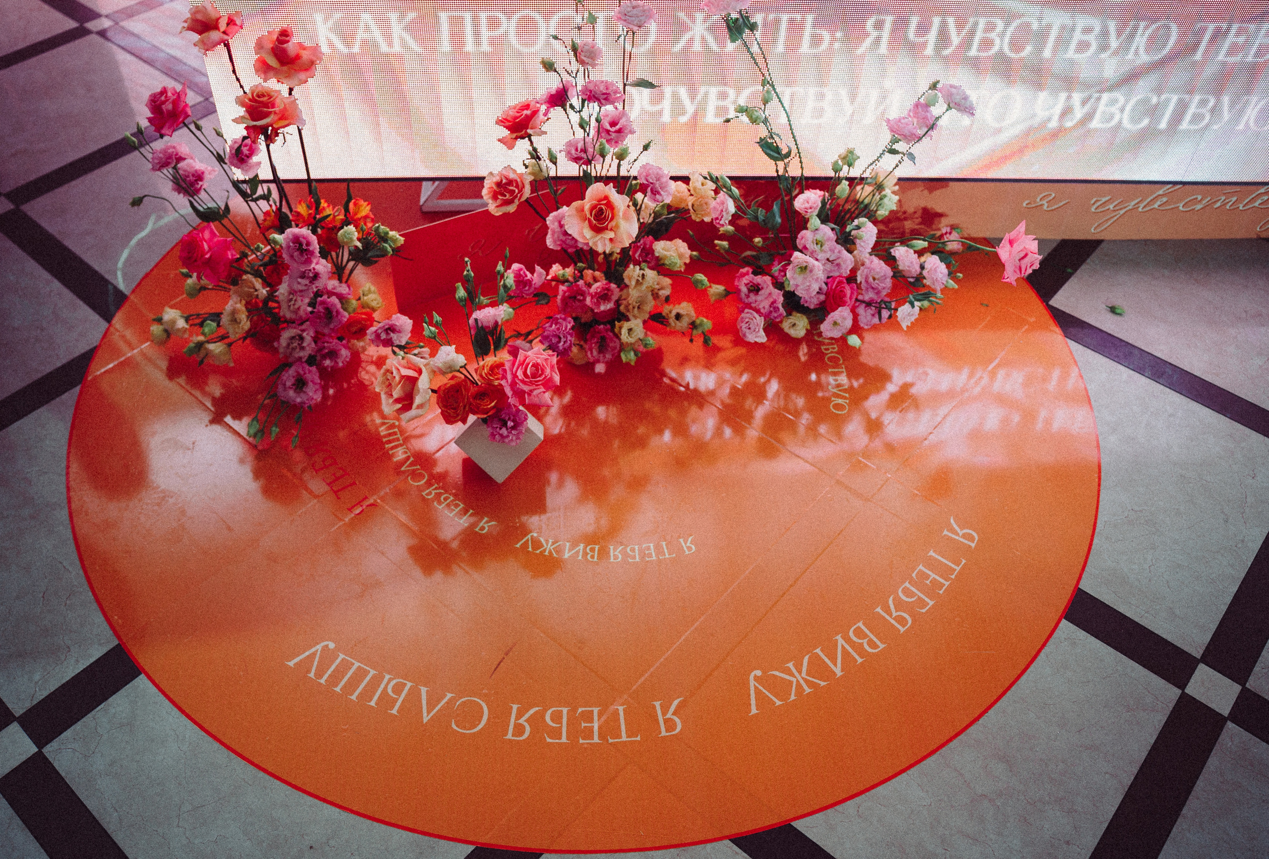 Равиль и Эльмира. Юлия Тайцай фотограф, Анатолий Тайцай видеограф