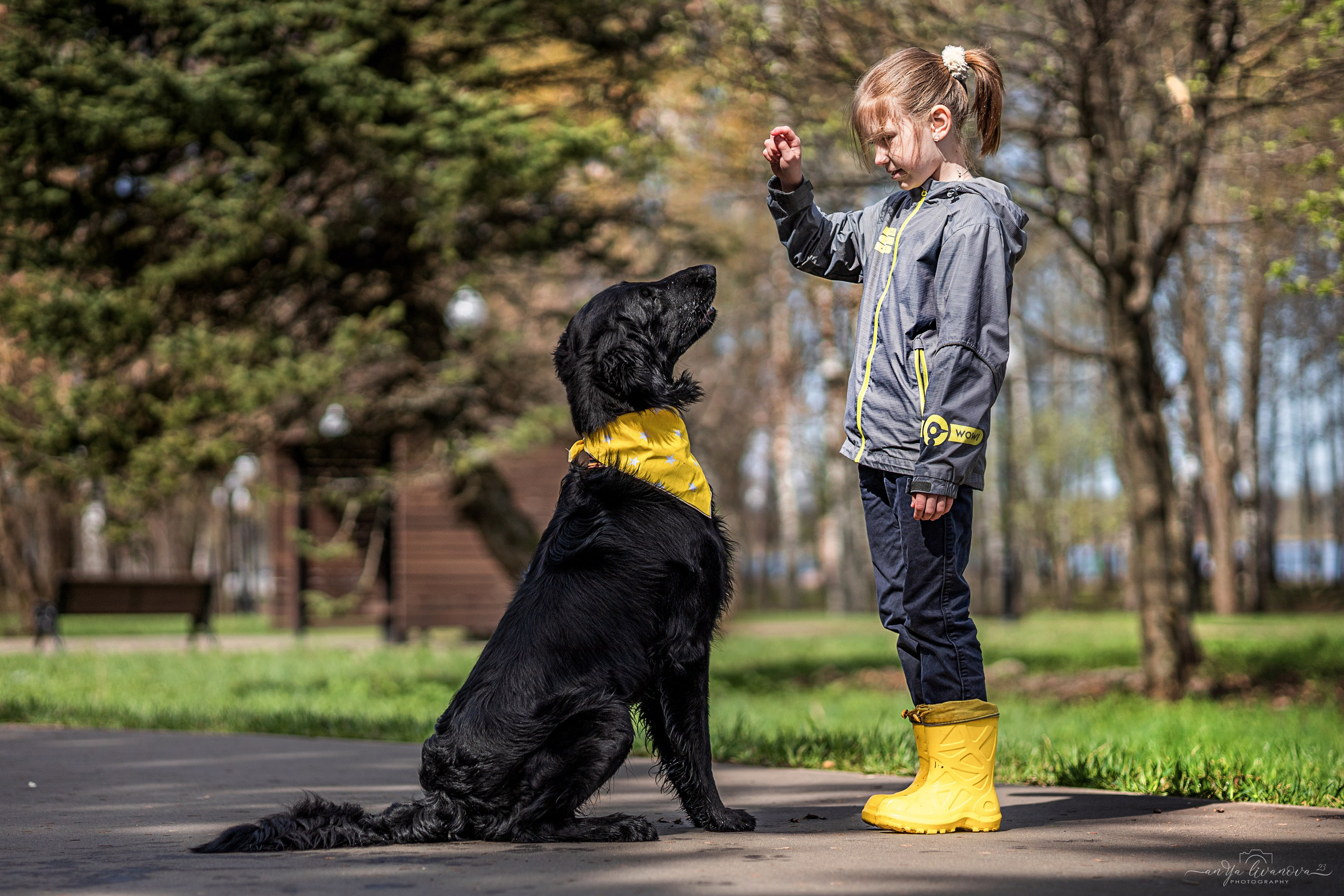 Солнышки. Фотограф анималист Аня Ливанова | Рыбинск