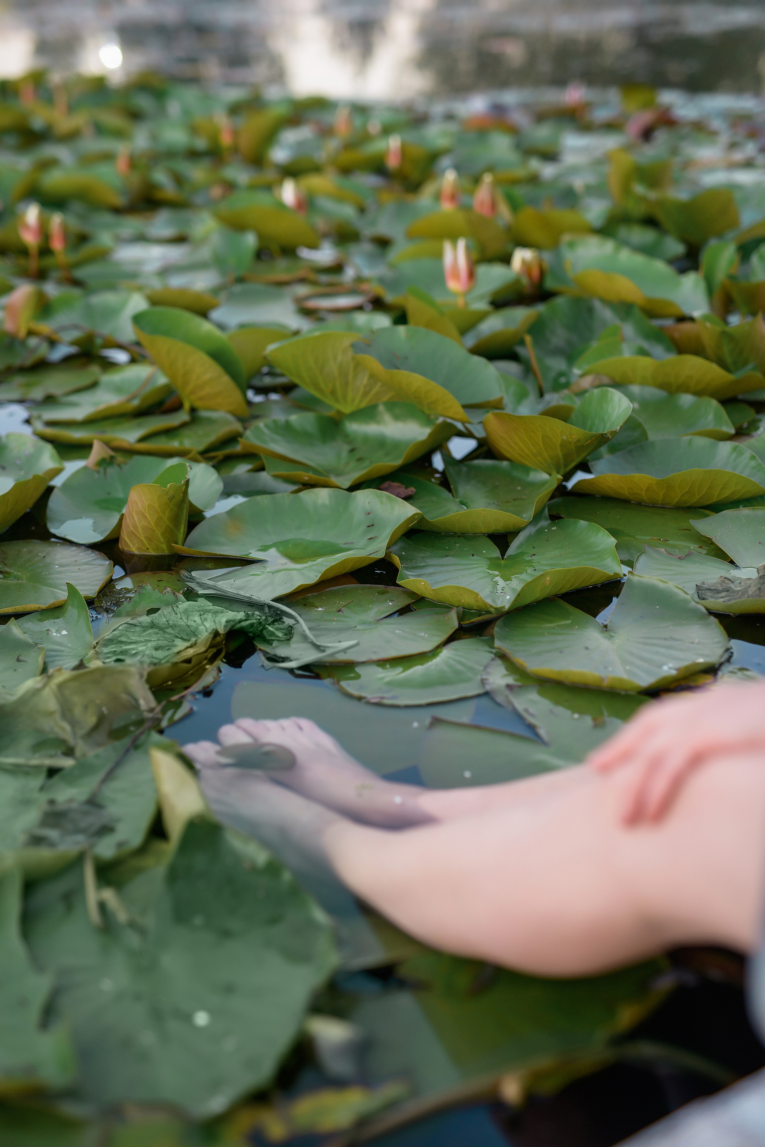 Lana. Семейный и контент фотограф